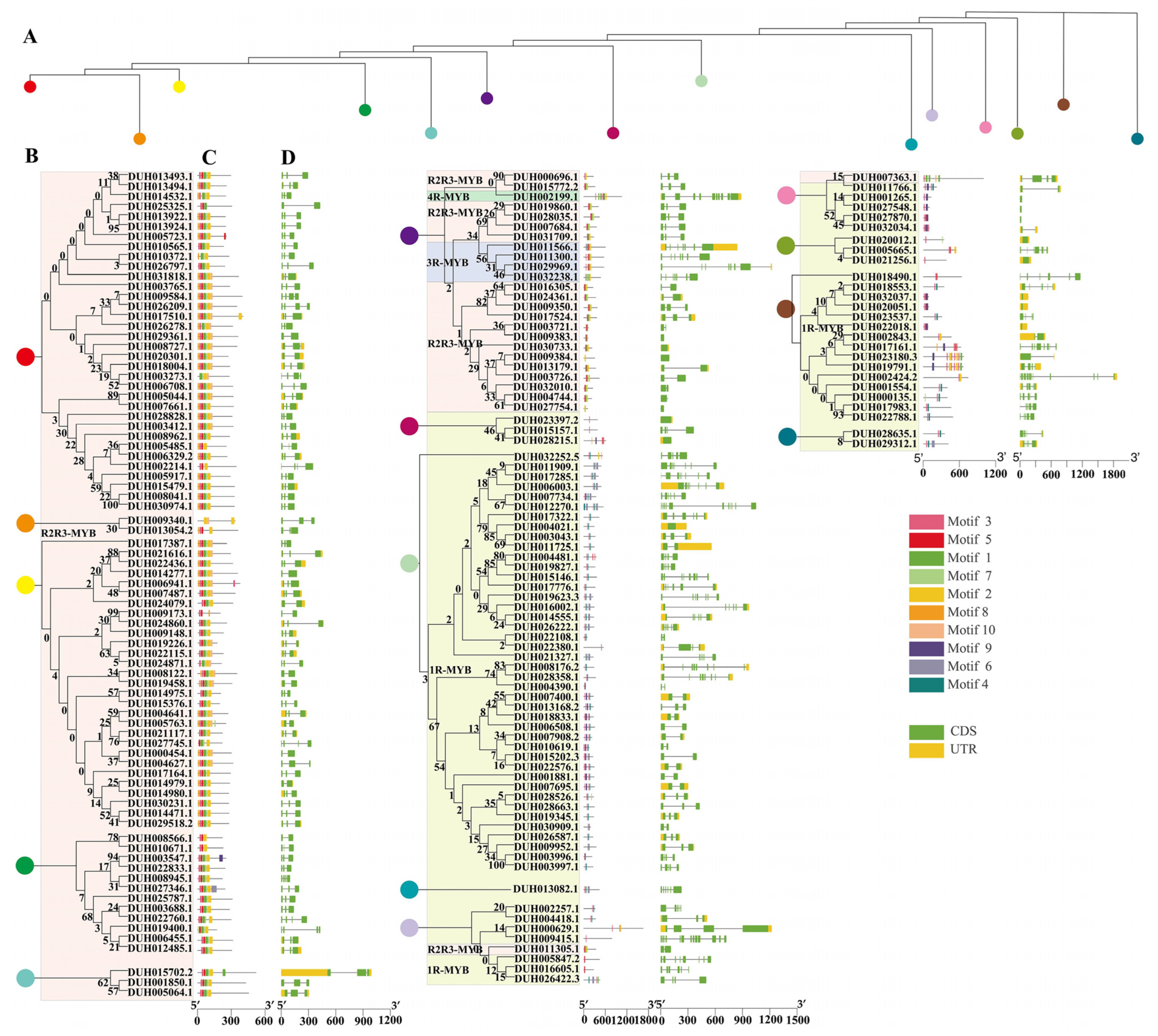 Ijms 24 04641 g003 Ijms 24 04641 g003