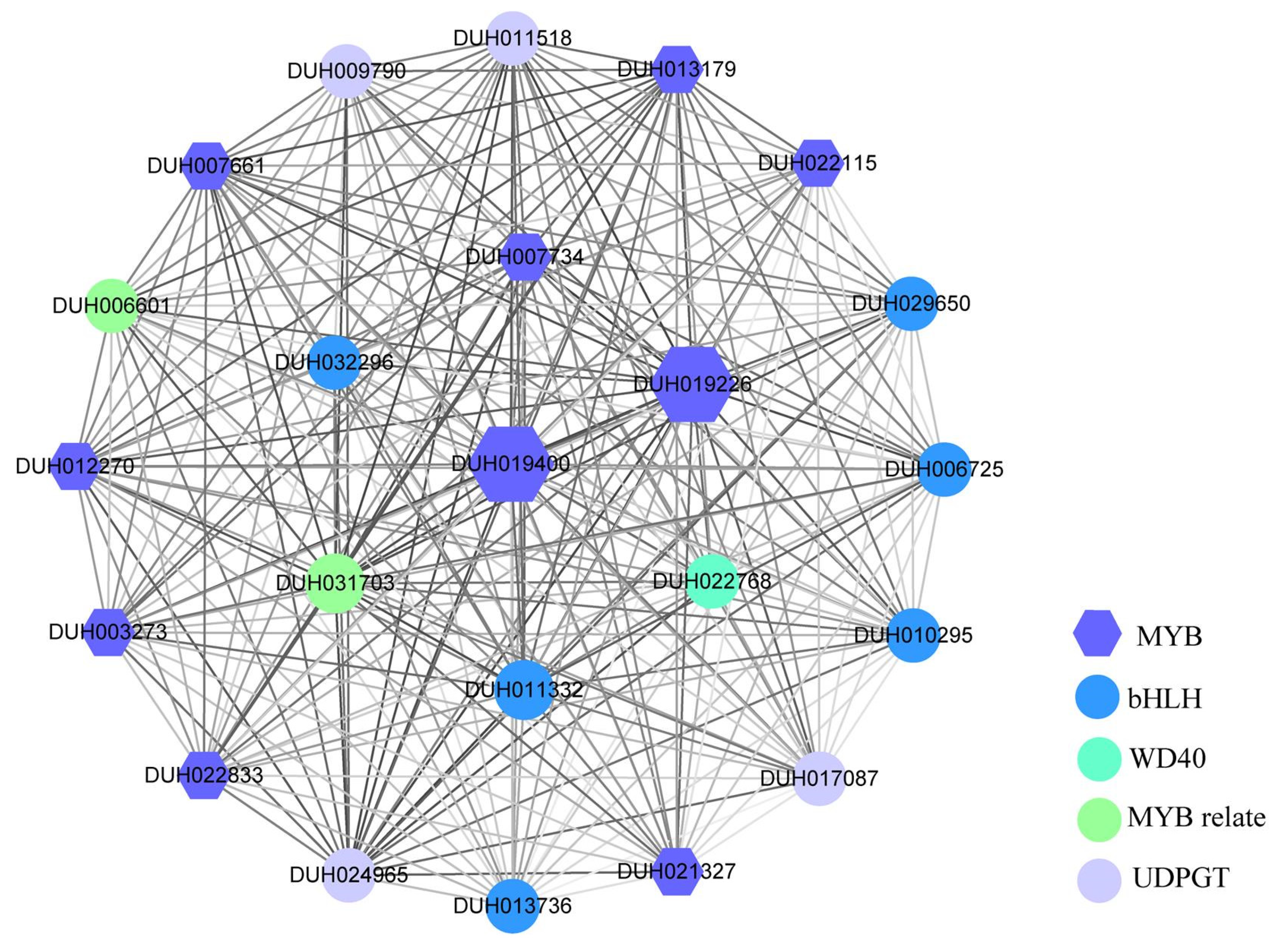 Ijms 24 04641 g010 Ijms 24 04641 g010