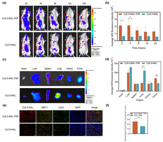 インパクト EZ76A1X-B インパクトドライバー 本体のみ EZ76A 1台 Panasonic