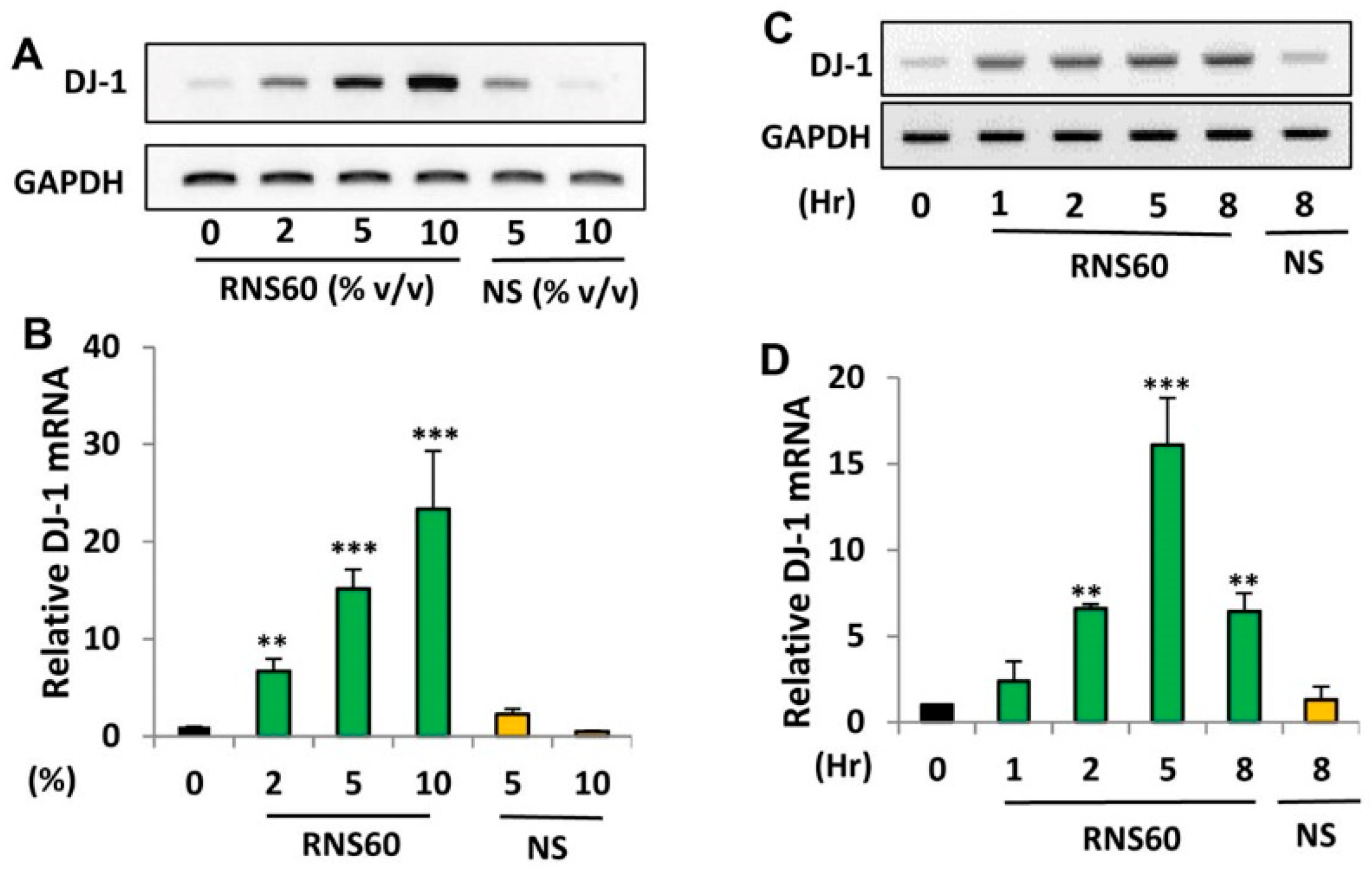 Ijms 24 04652 g001 Ijms 24 04652 g001