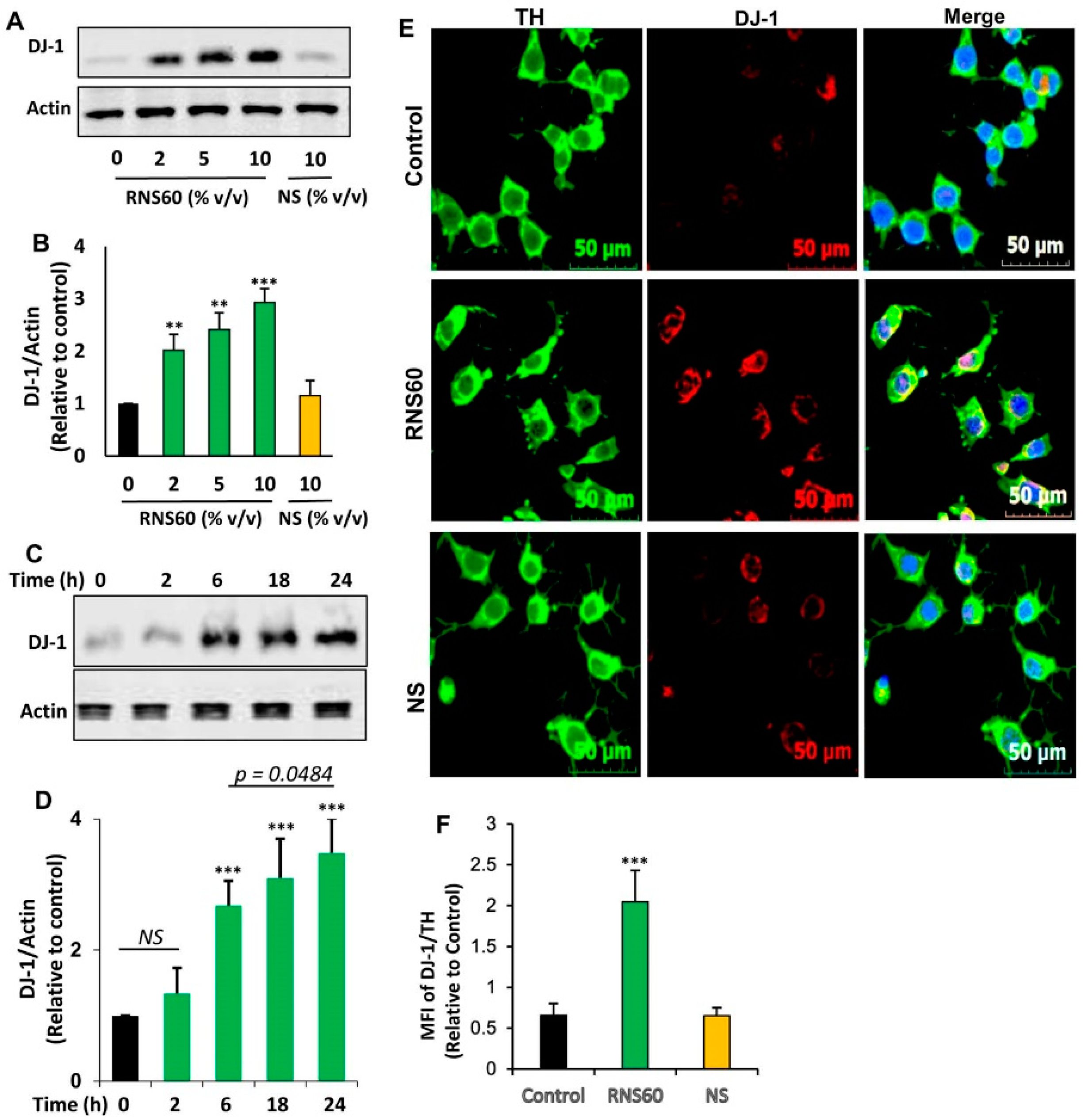Ijms 24 04652 g002 Ijms 24 04652 g002