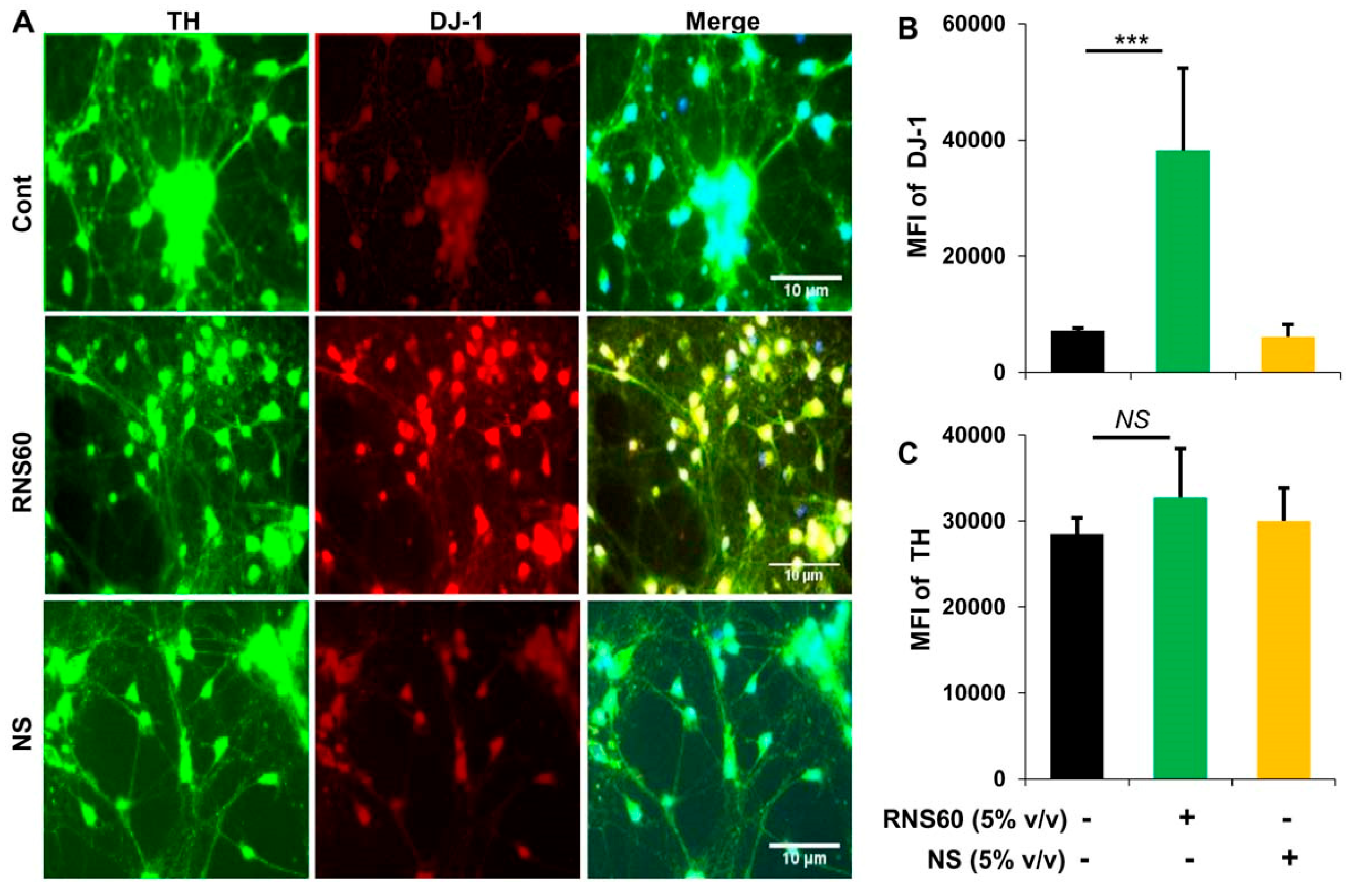 Ijms 24 04652 g003 Ijms 24 04652 g003