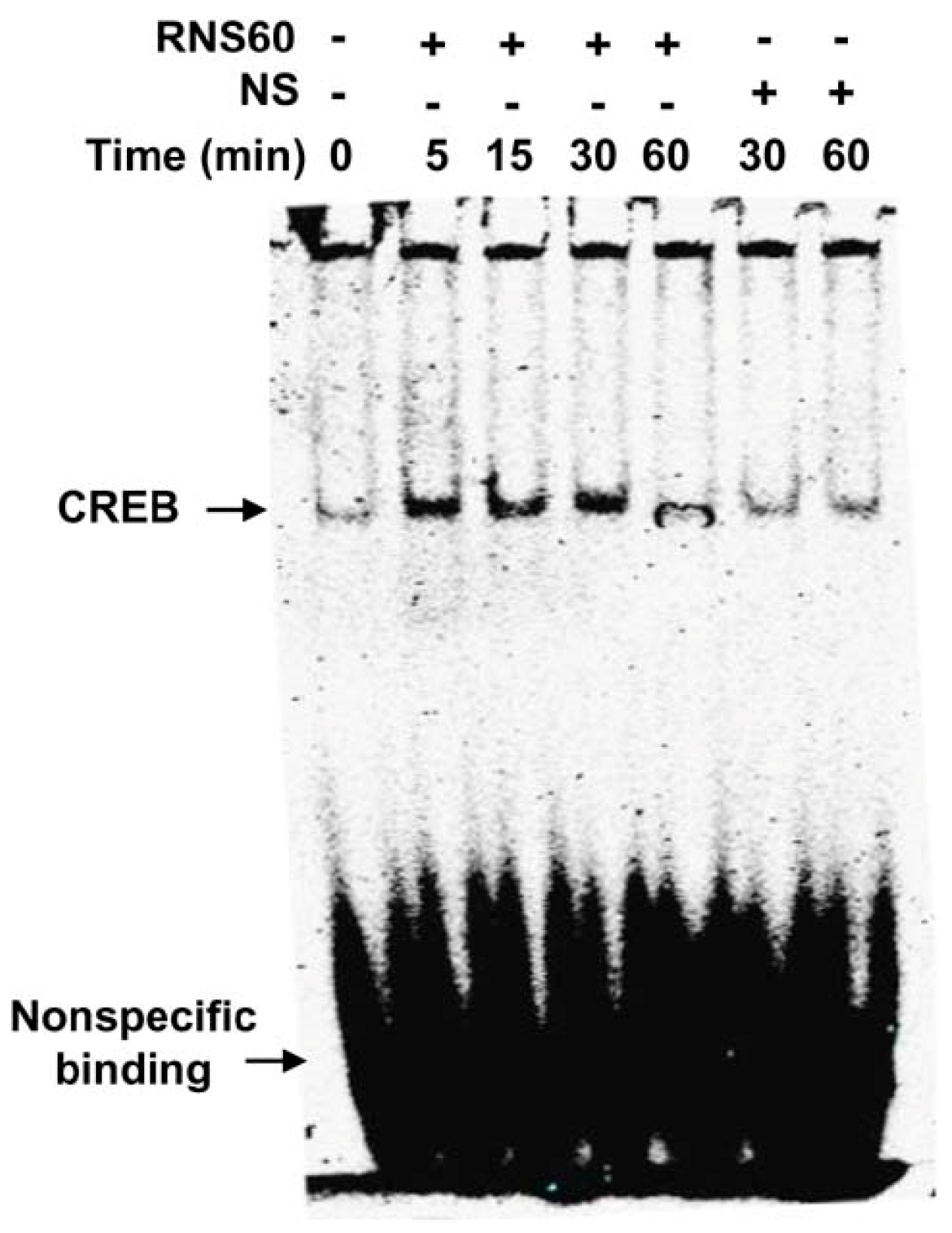 Ijms 24 04652 g005 Ijms 24 04652 g005