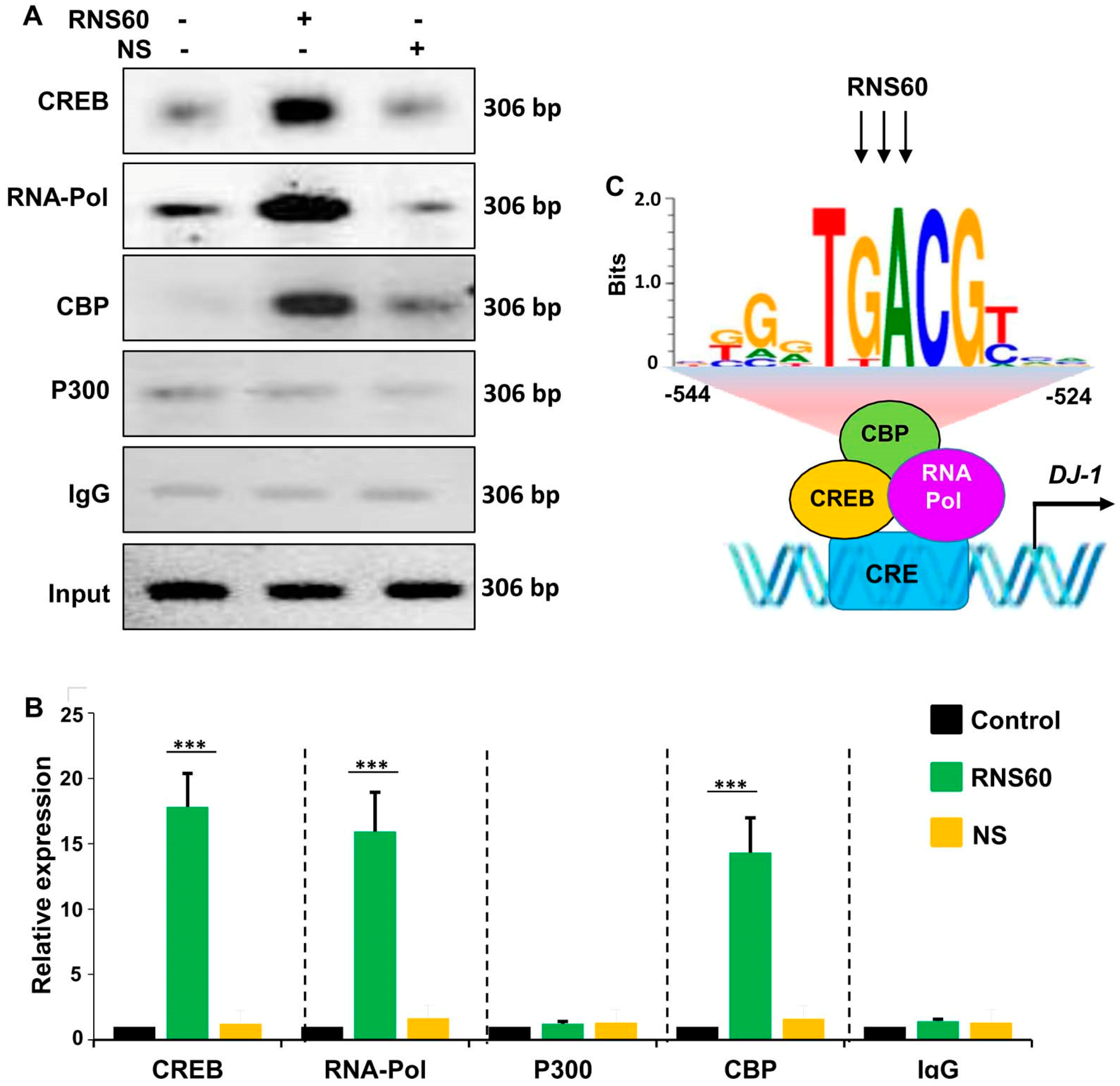Ijms 24 04652 g006 Ijms 24 04652 g006