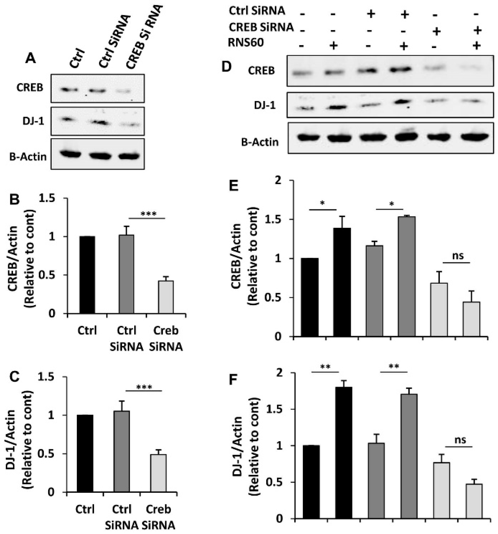 Ijms 24 04652 g007 Ijms 24 04652 g007