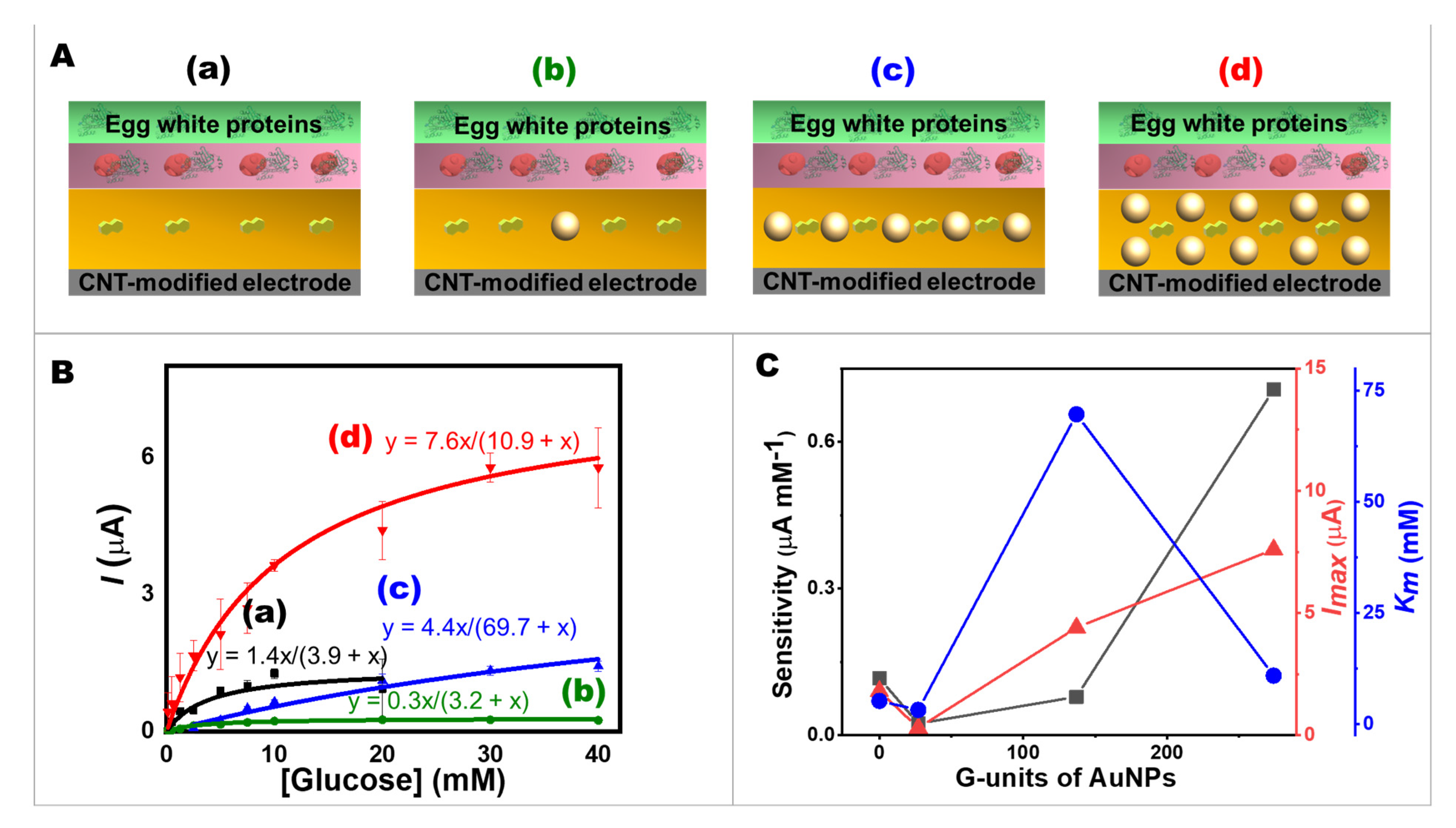 Ijms 24 04657 g002 Ijms 24 04657 g002