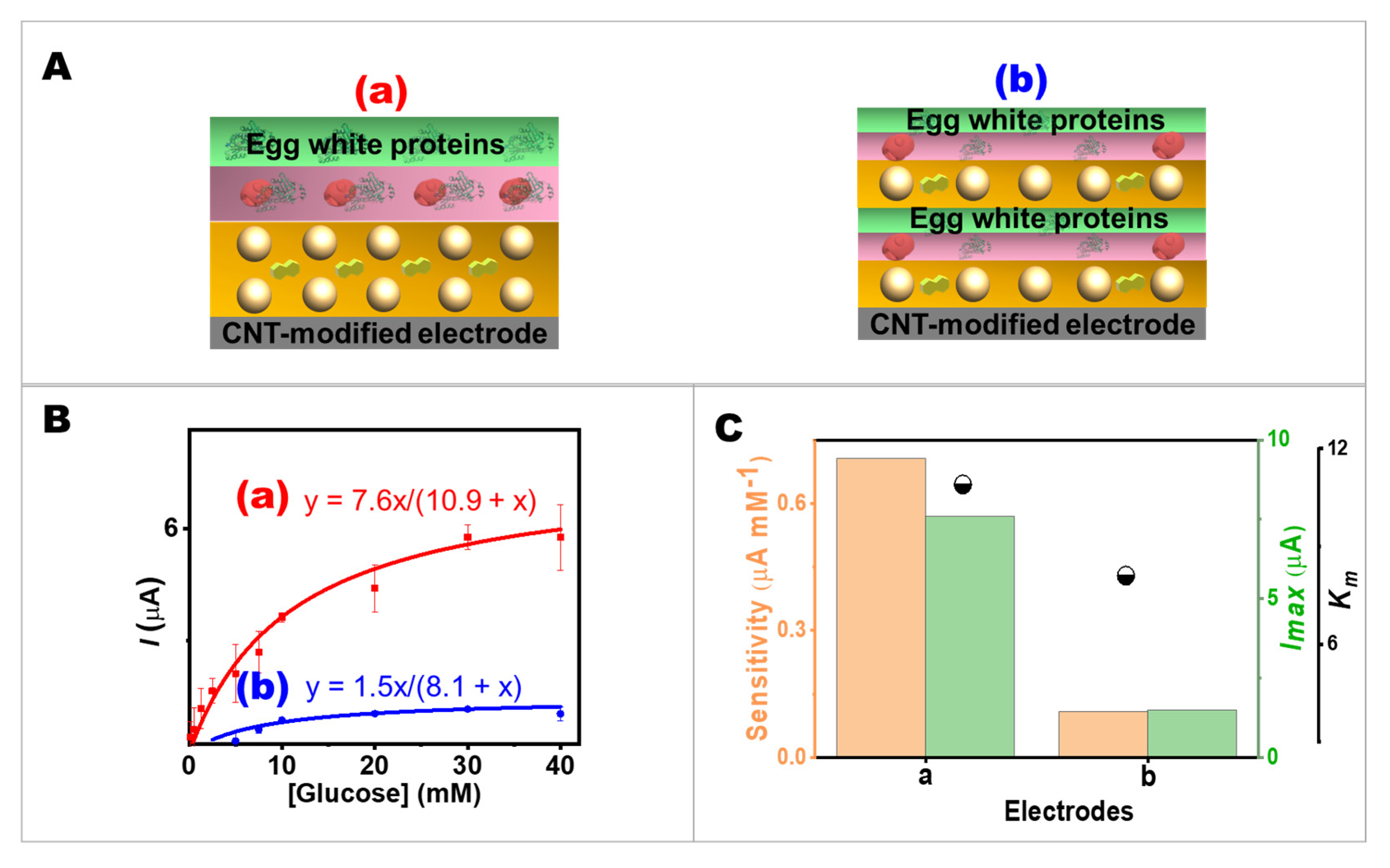 Ijms 24 04657 g003 Ijms 24 04657 g003