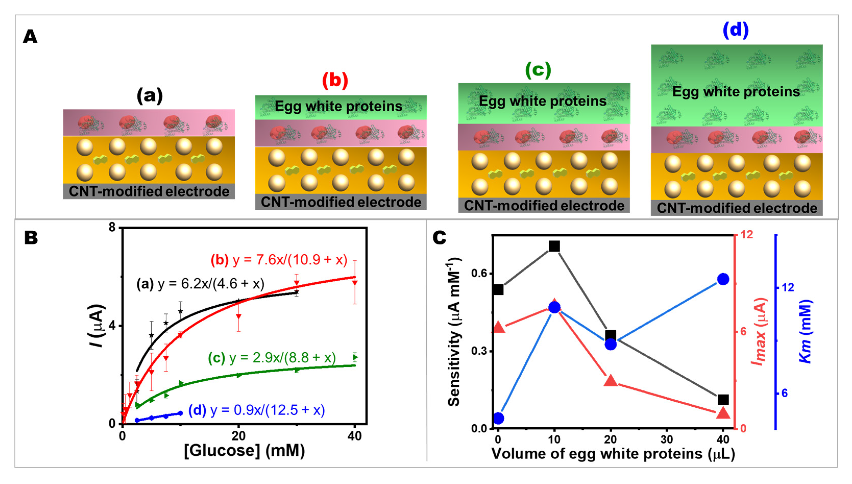 Ijms 24 04657 g004 Ijms 24 04657 g004