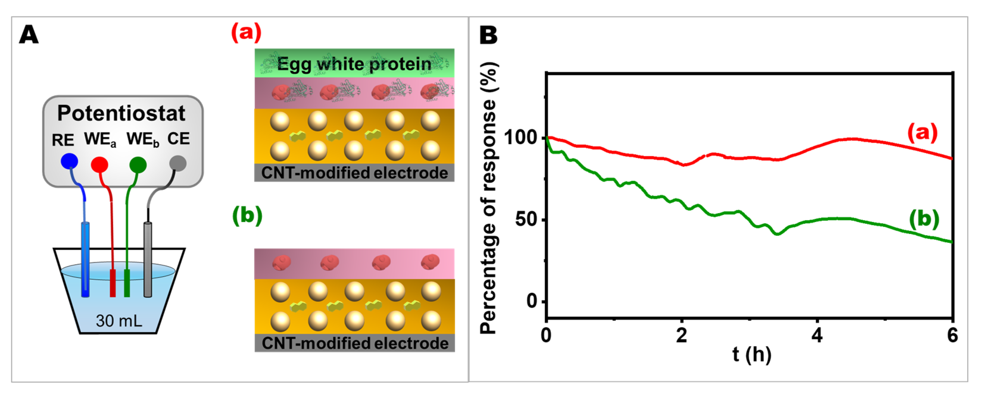Ijms 24 04657 g005 Ijms 24 04657 g005