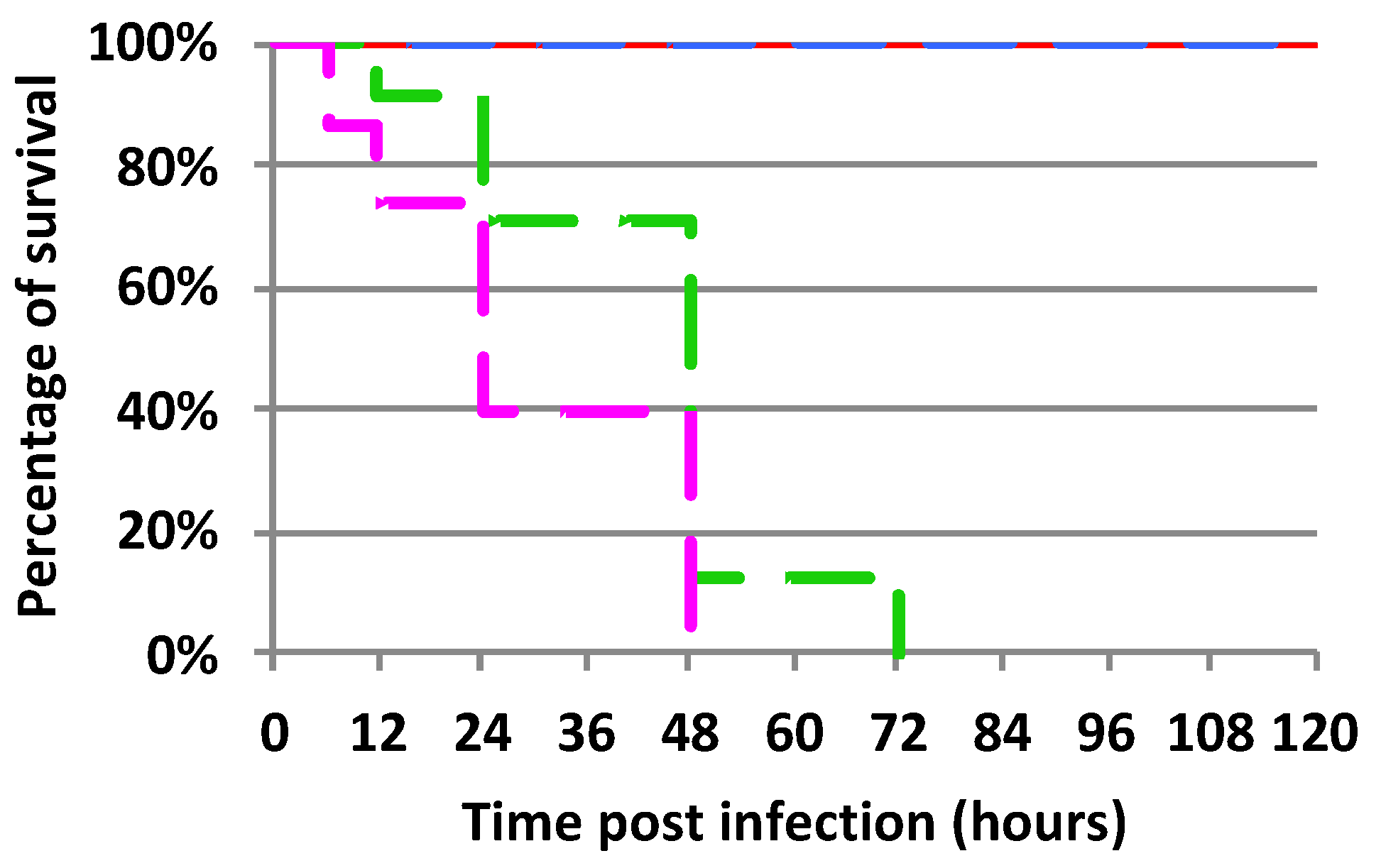 Ijms 24 04658 g001 Ijms 24 04658 g001