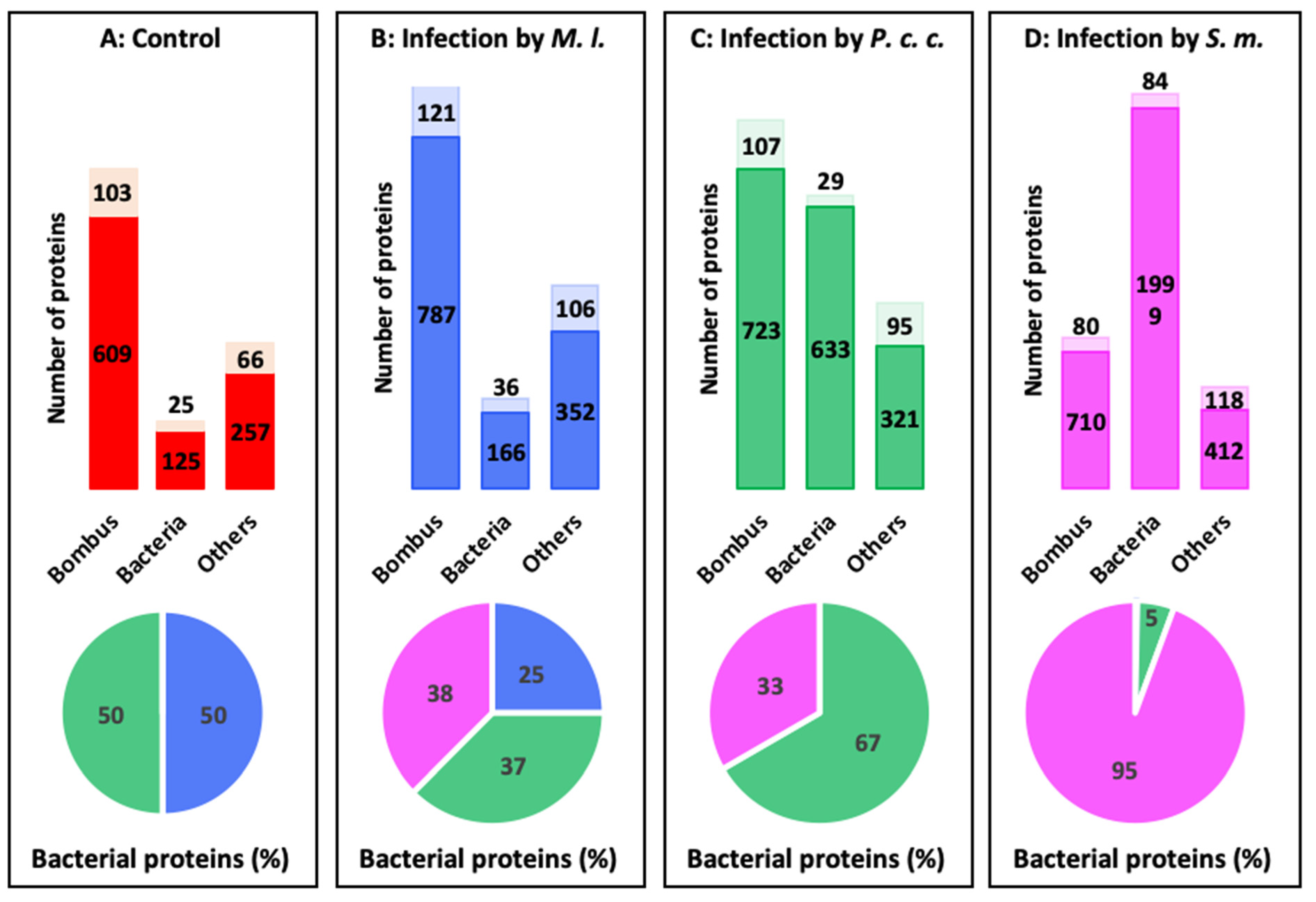 Ijms 24 04658 g005 Ijms 24 04658 g005