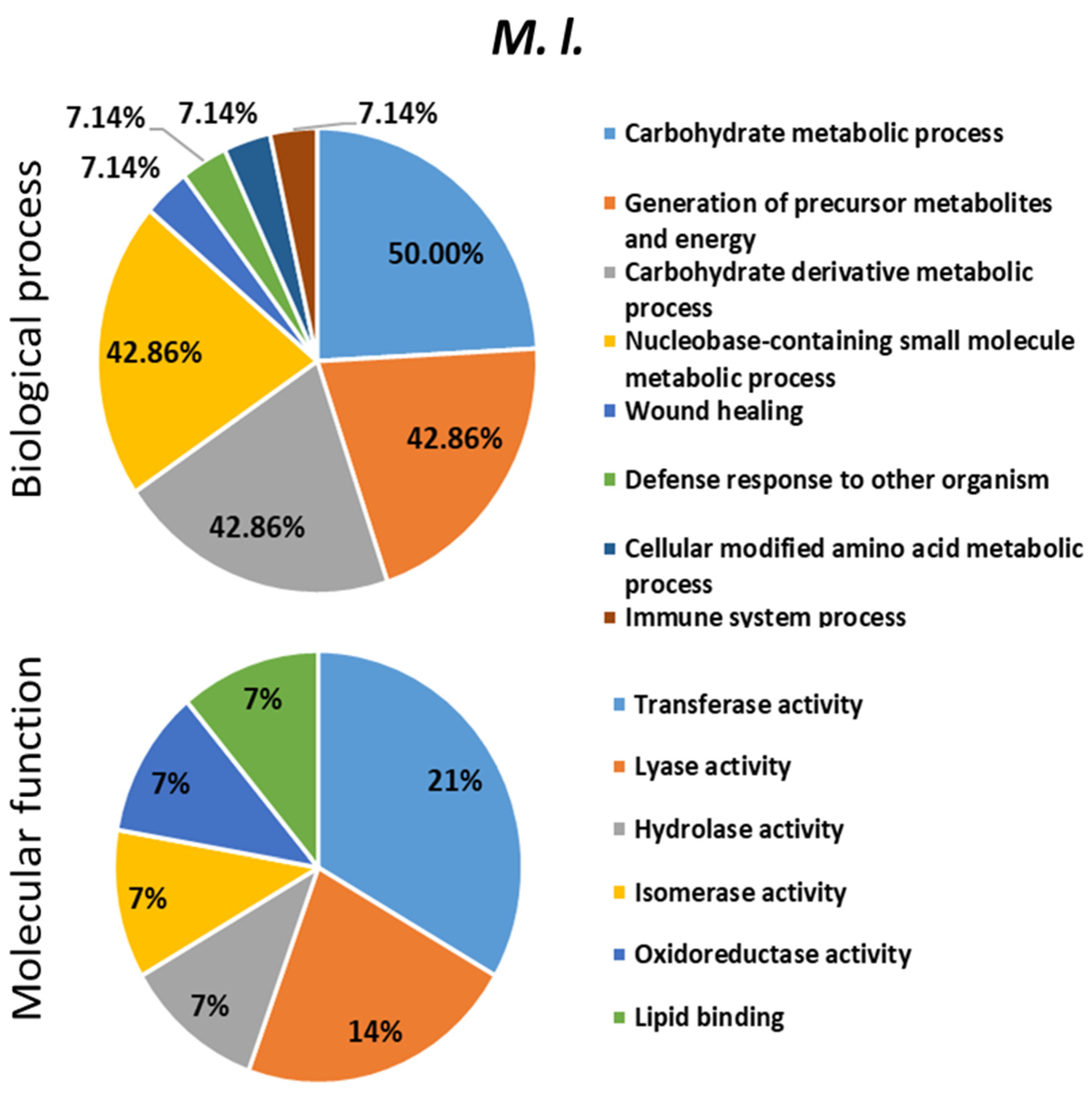 Ijms 24 04658 g007 Ijms 24 04658 g007
