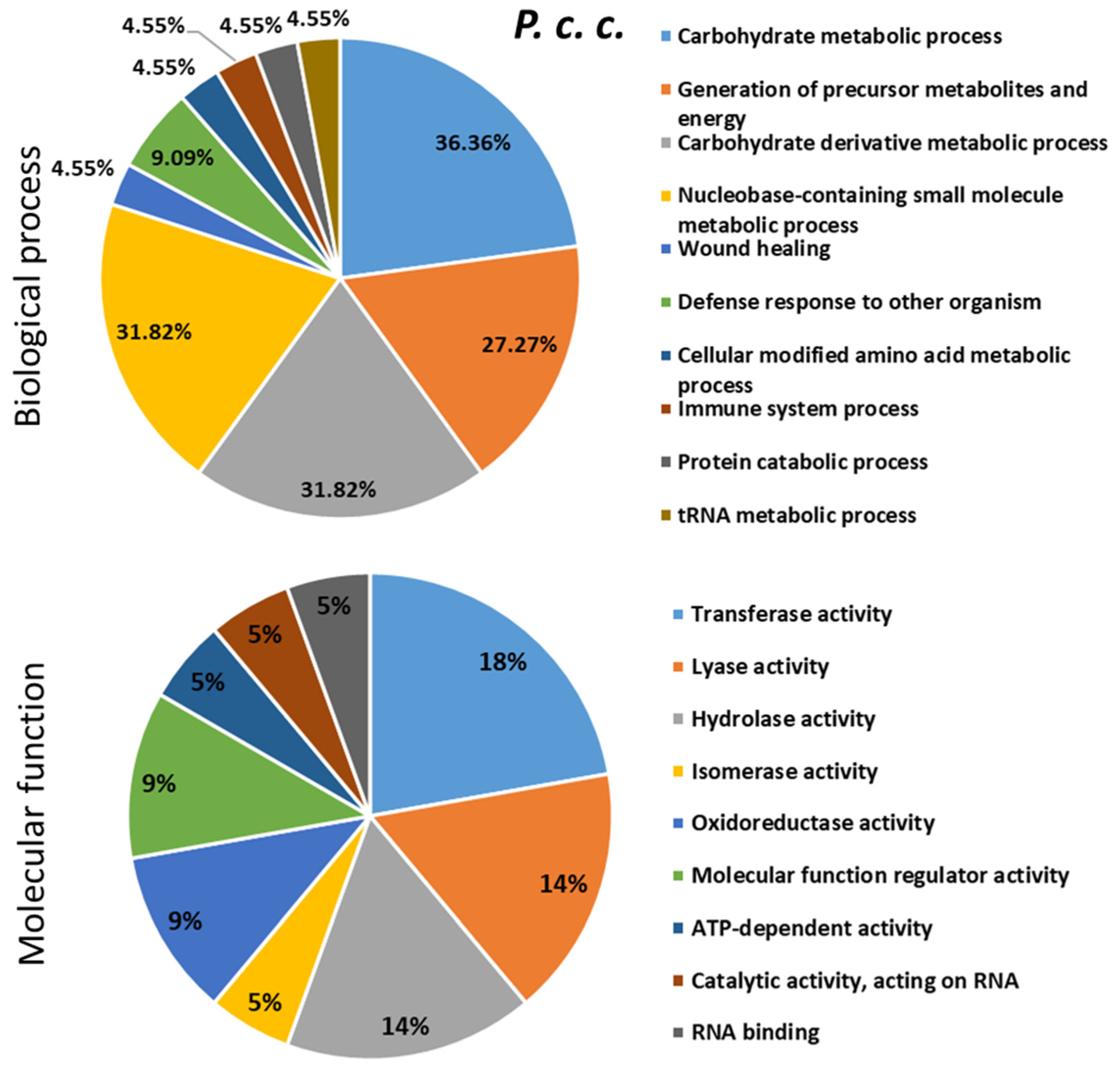 Ijms 24 04658 g008 Ijms 24 04658 g008