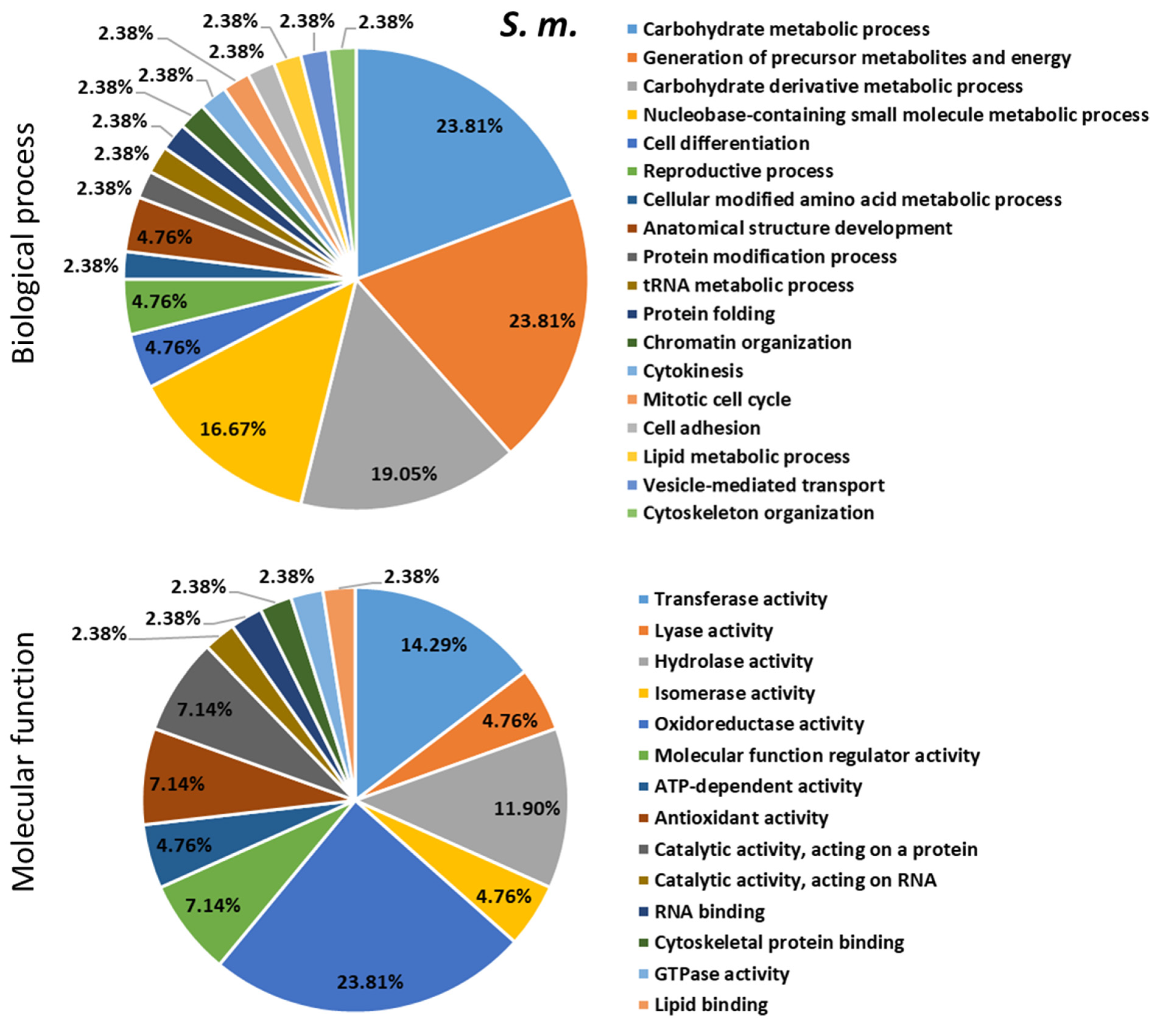 Ijms 24 04658 g009 Ijms 24 04658 g009