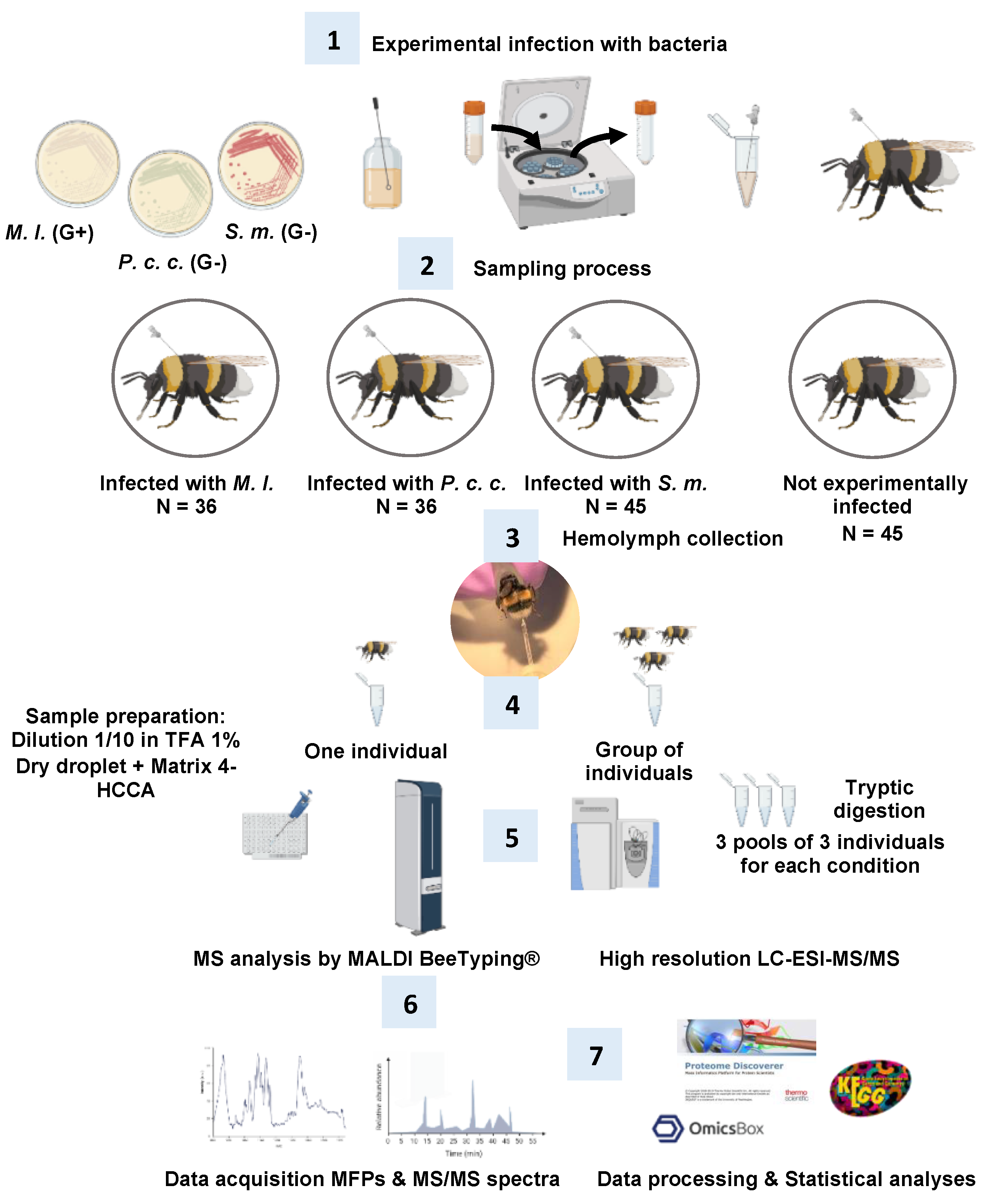 Ijms 24 04658 g010 Ijms 24 04658 g010