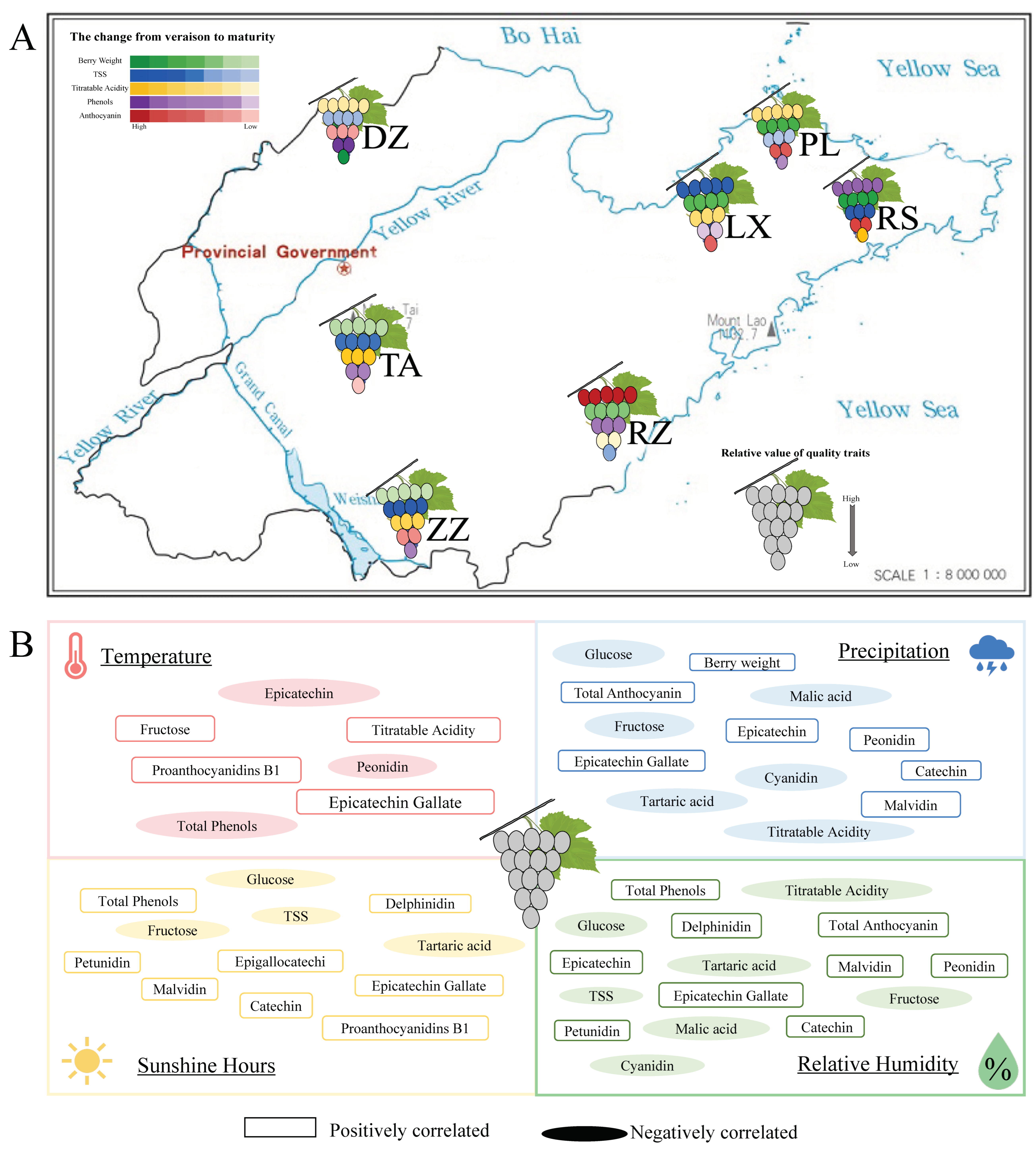 Ijms 24 04670 g006 Ijms 24 04670 g006