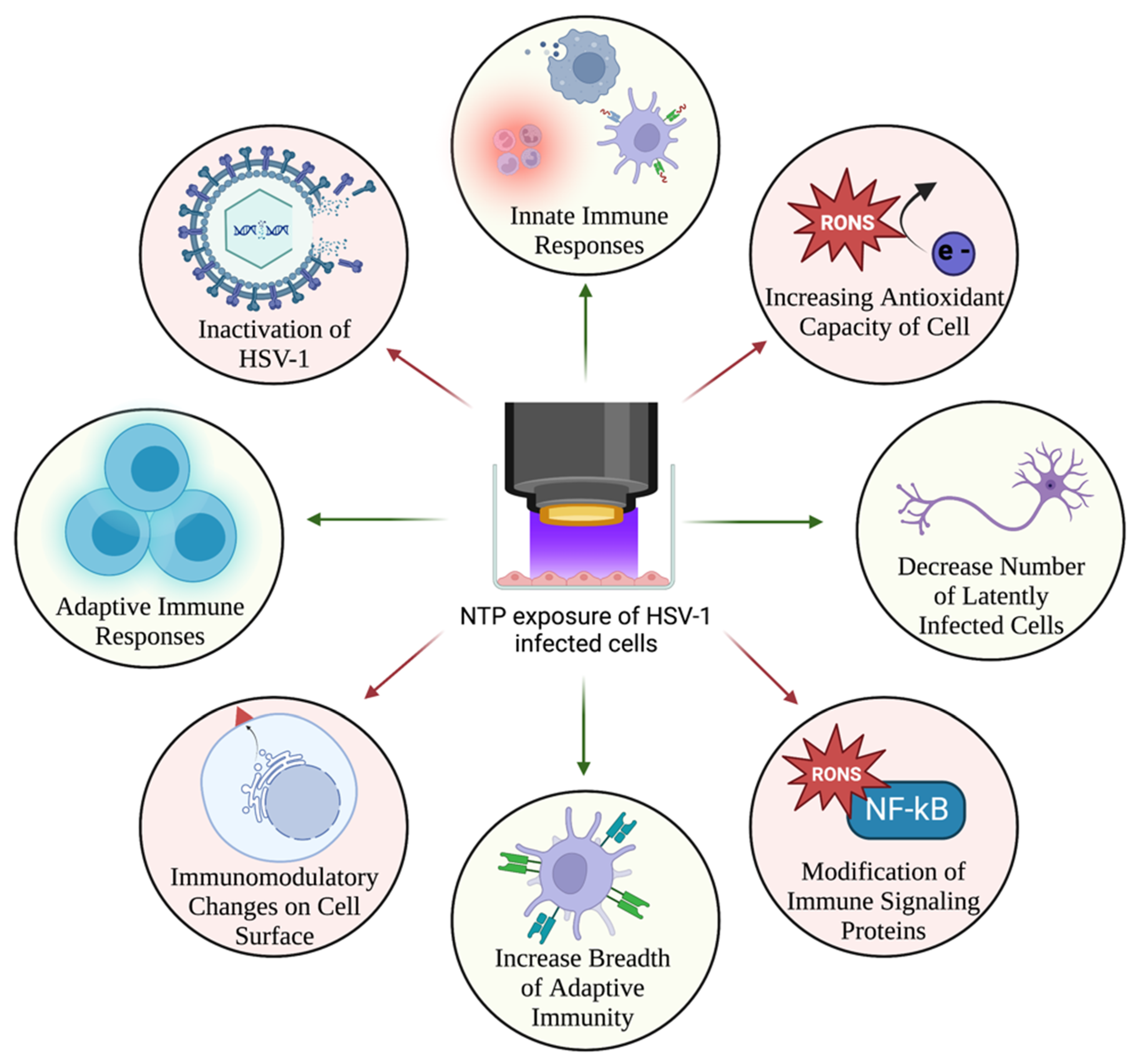 Ijms 24 04673 g007 Ijms 24 04673 g007