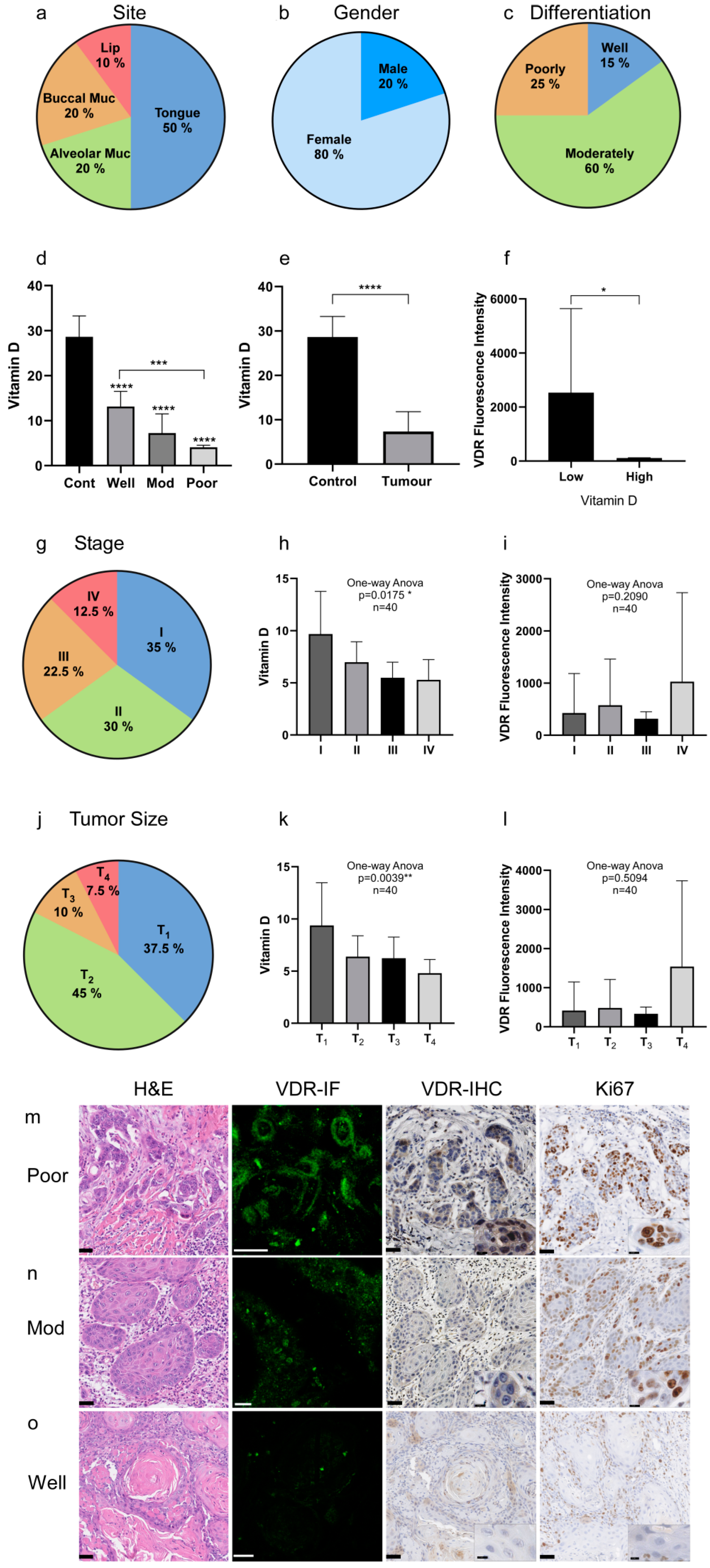 Ijms 24 04675 g001 Ijms 24 04675 g001