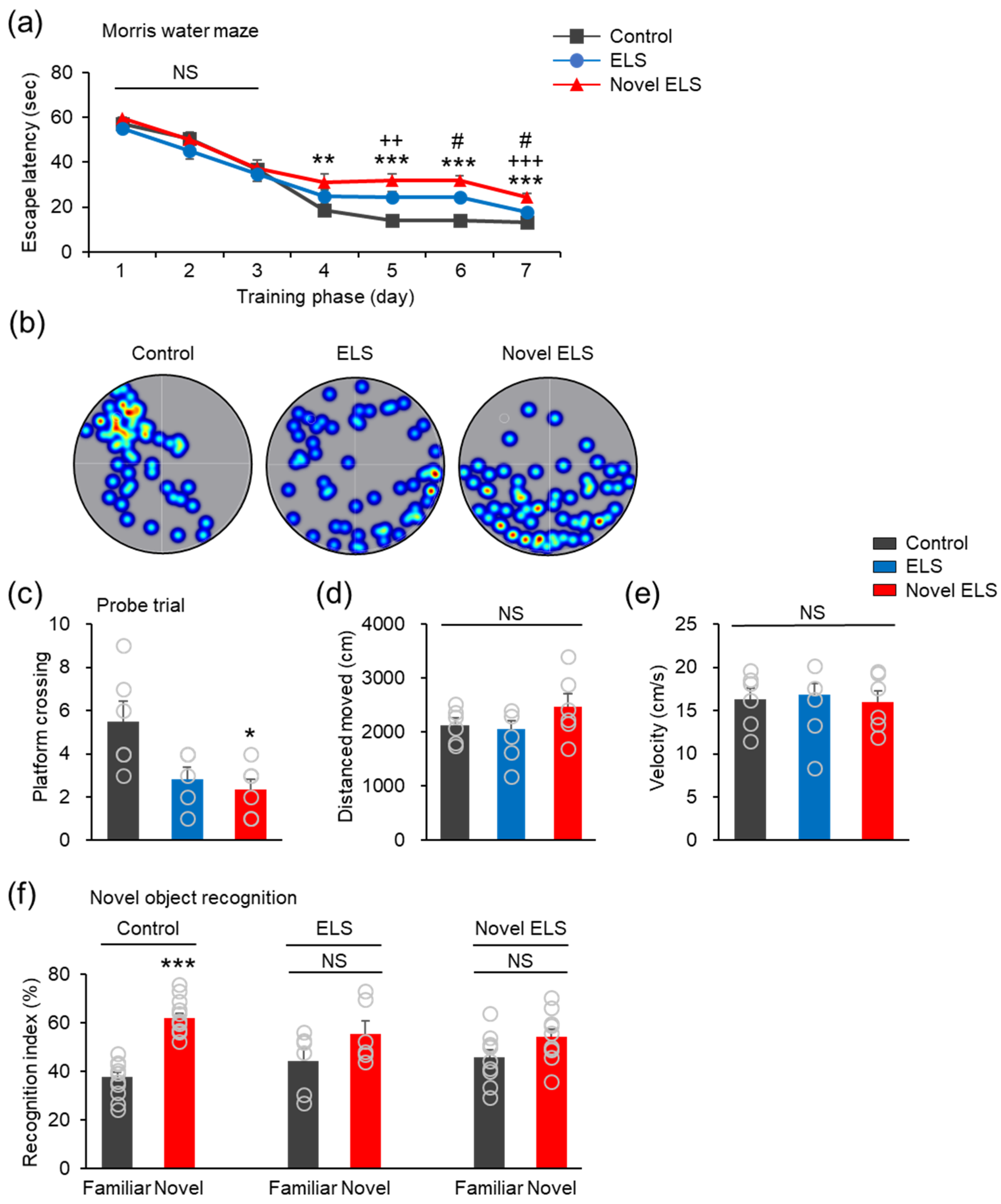 Ijms 24 04688 g003 Ijms 24 04688 g003