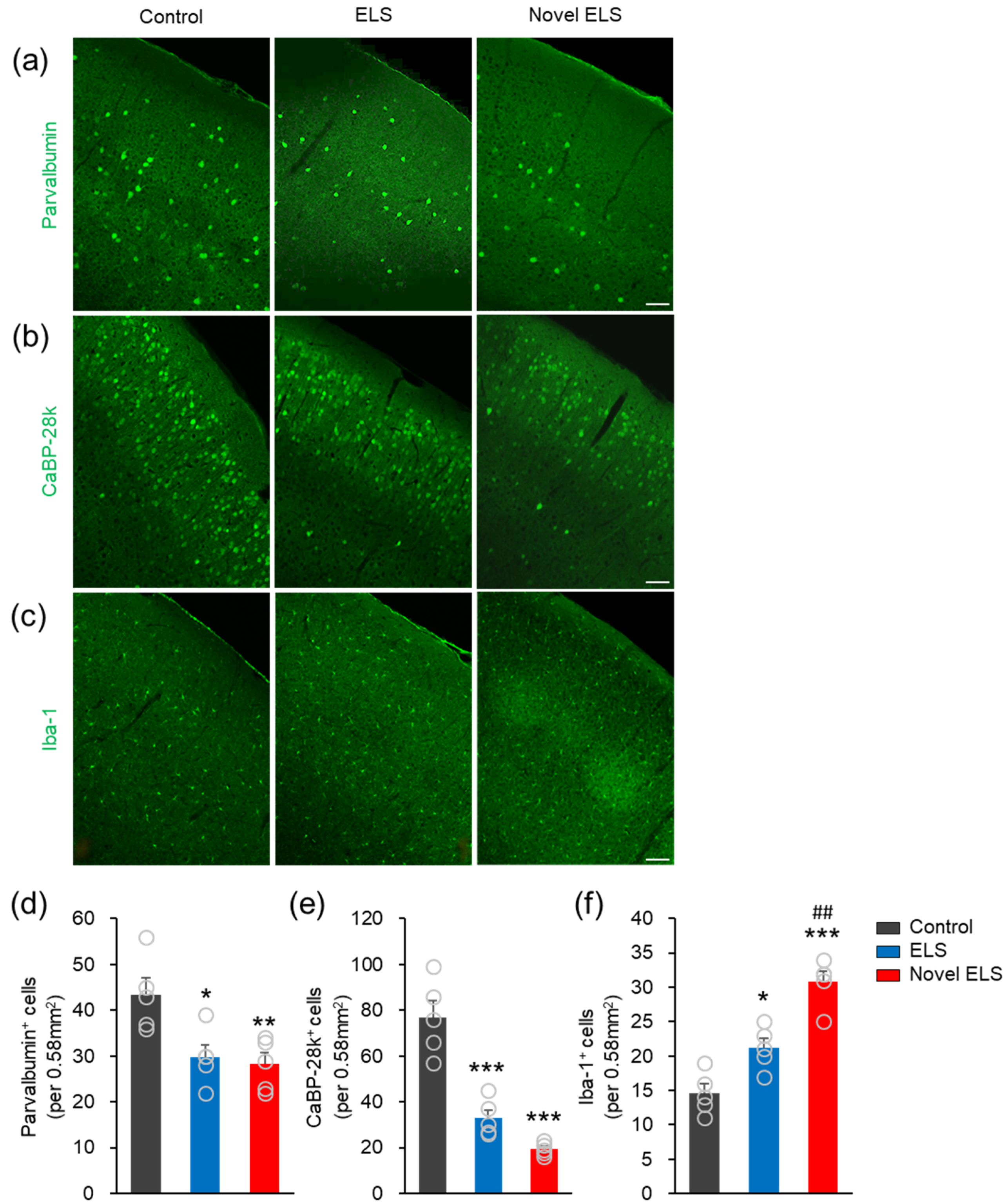 Ijms 24 04688 g005 Ijms 24 04688 g005