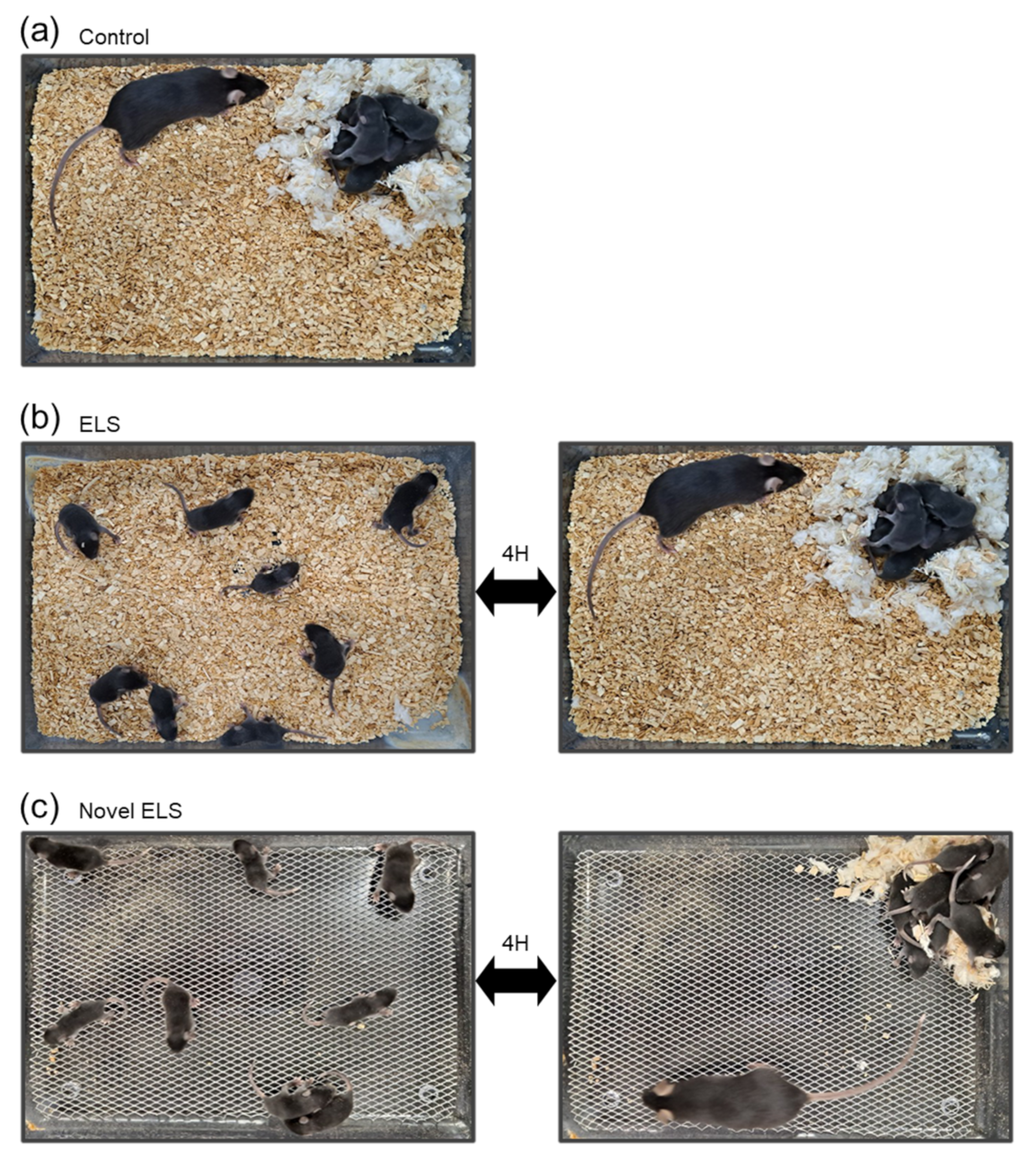 Ijms 24 04688 g006 Ijms 24 04688 g006