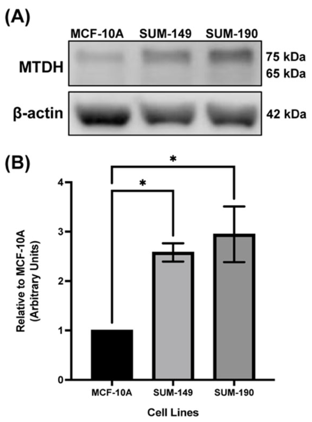 Ijms 24 04694 g001 Ijms 24 04694 g001