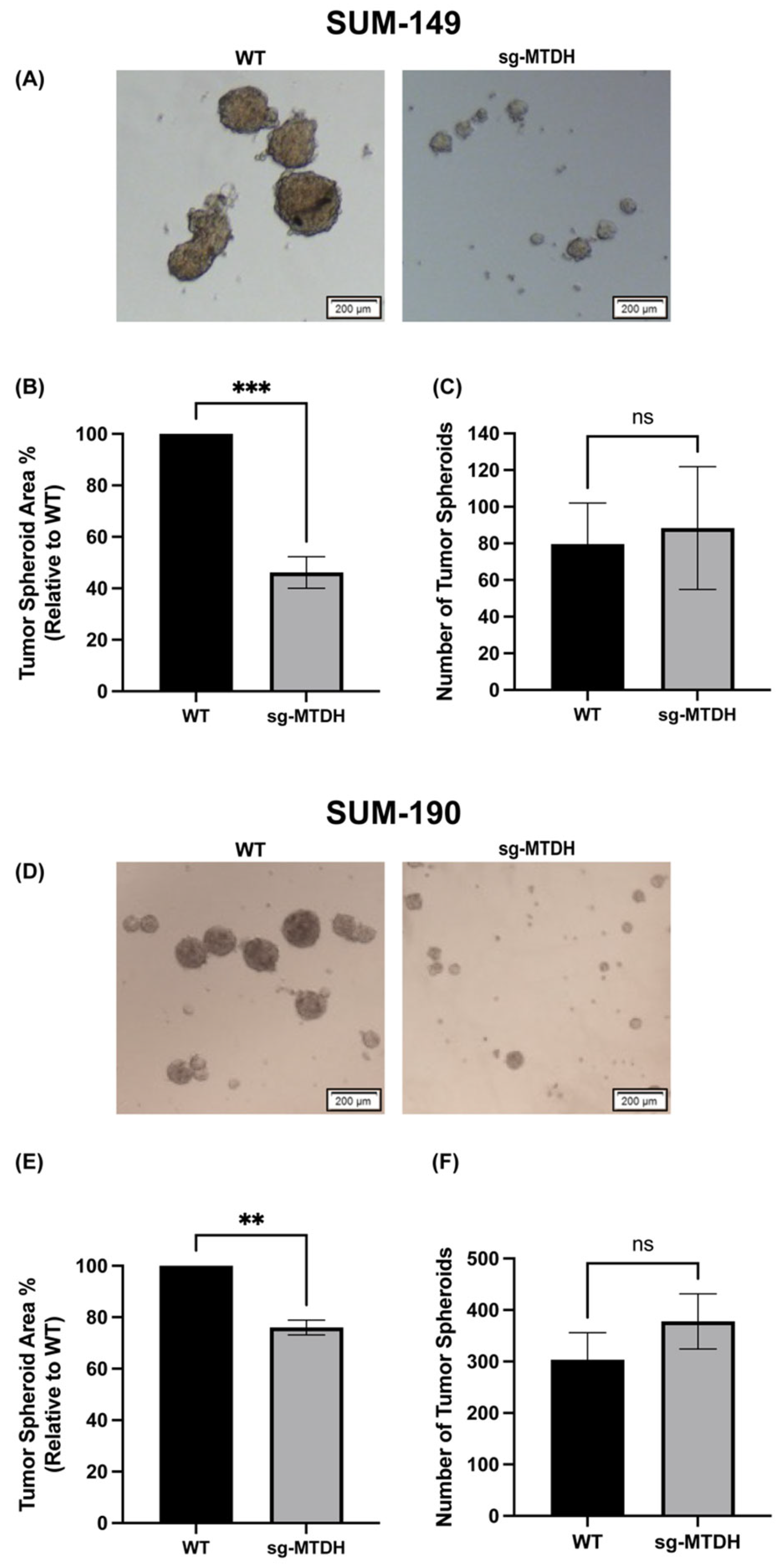 Ijms 24 04694 g003 Ijms 24 04694 g003