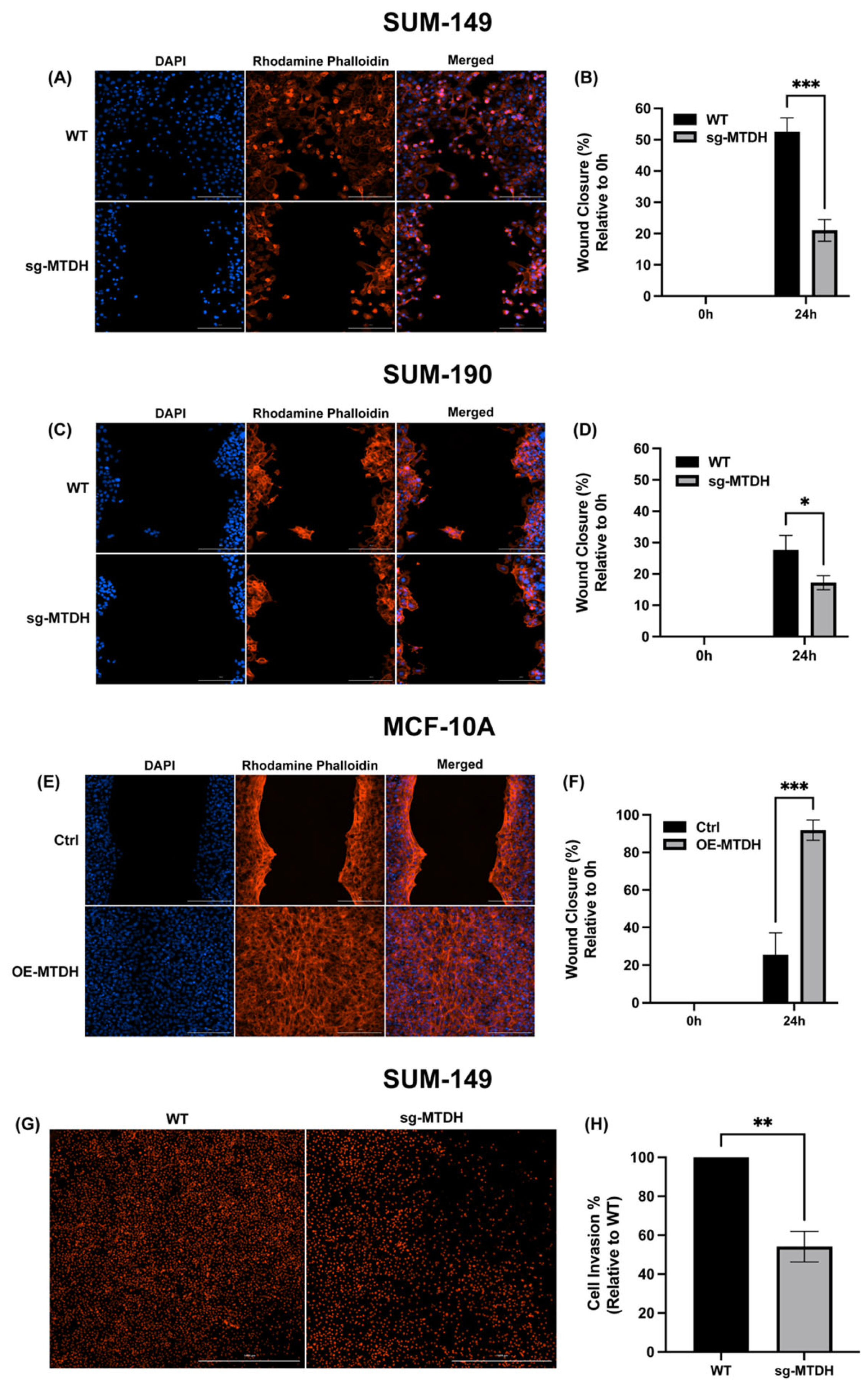 Ijms 24 04694 g004 Ijms 24 04694 g004