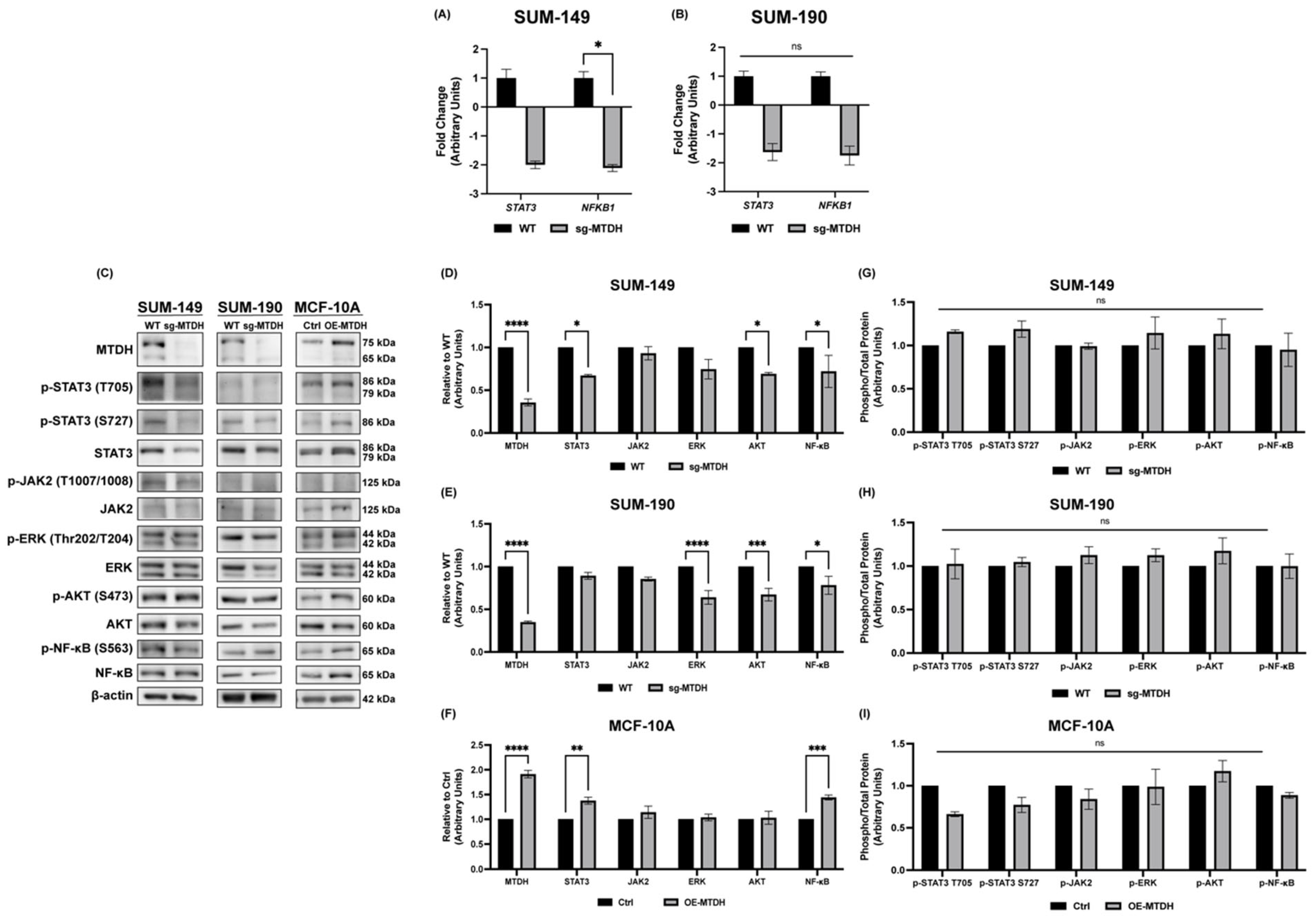 Ijms 24 04694 g005 Ijms 24 04694 g005