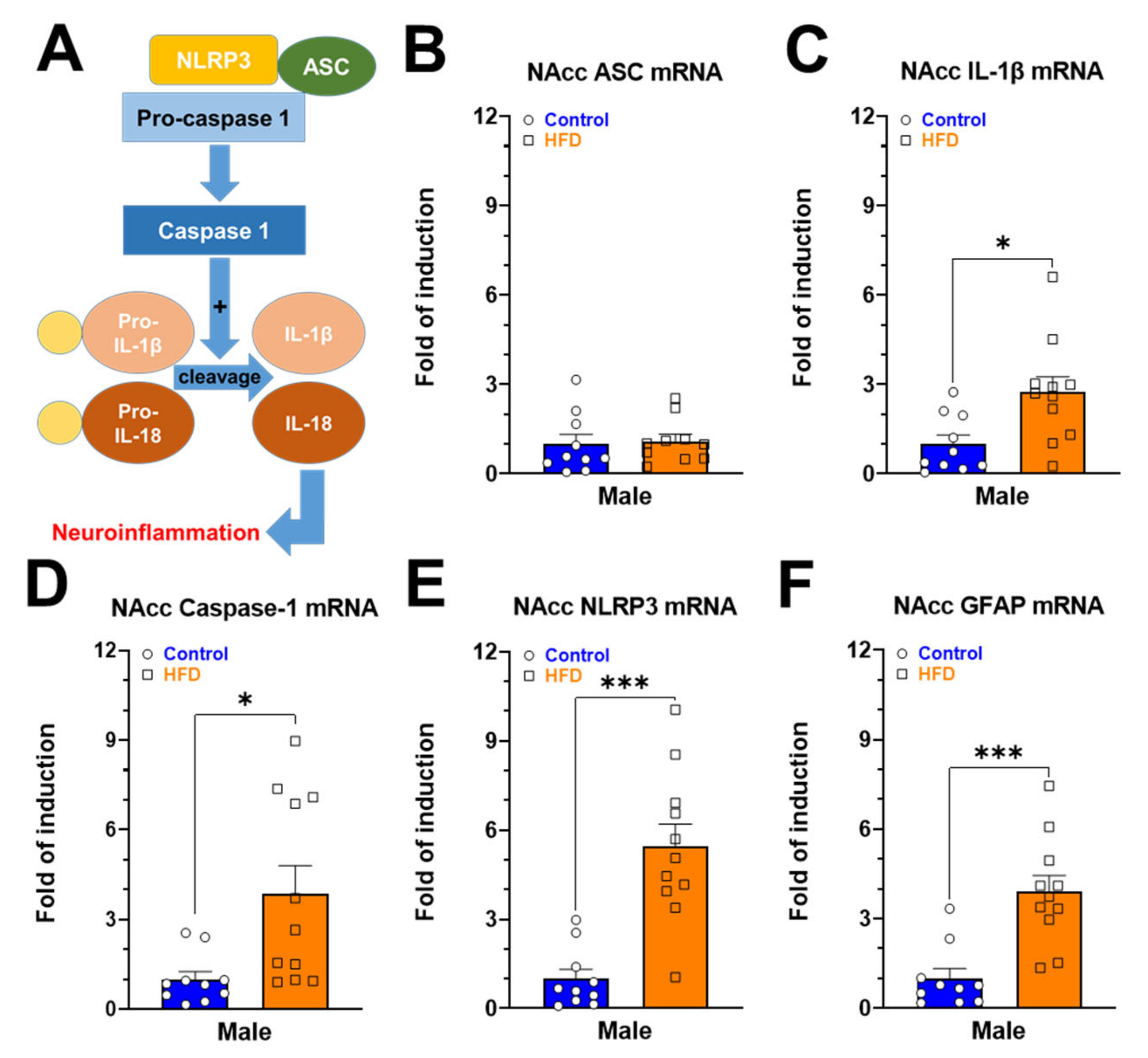 Ijms 24 04703 g003 Ijms 24 04703 g003