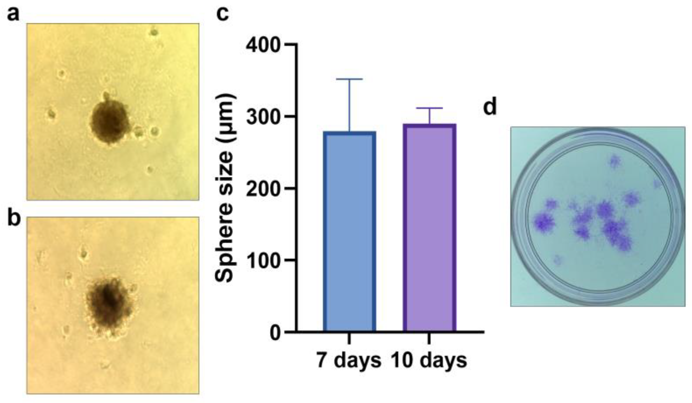 Ijms 24 04704 g002 Ijms 24 04704 g002