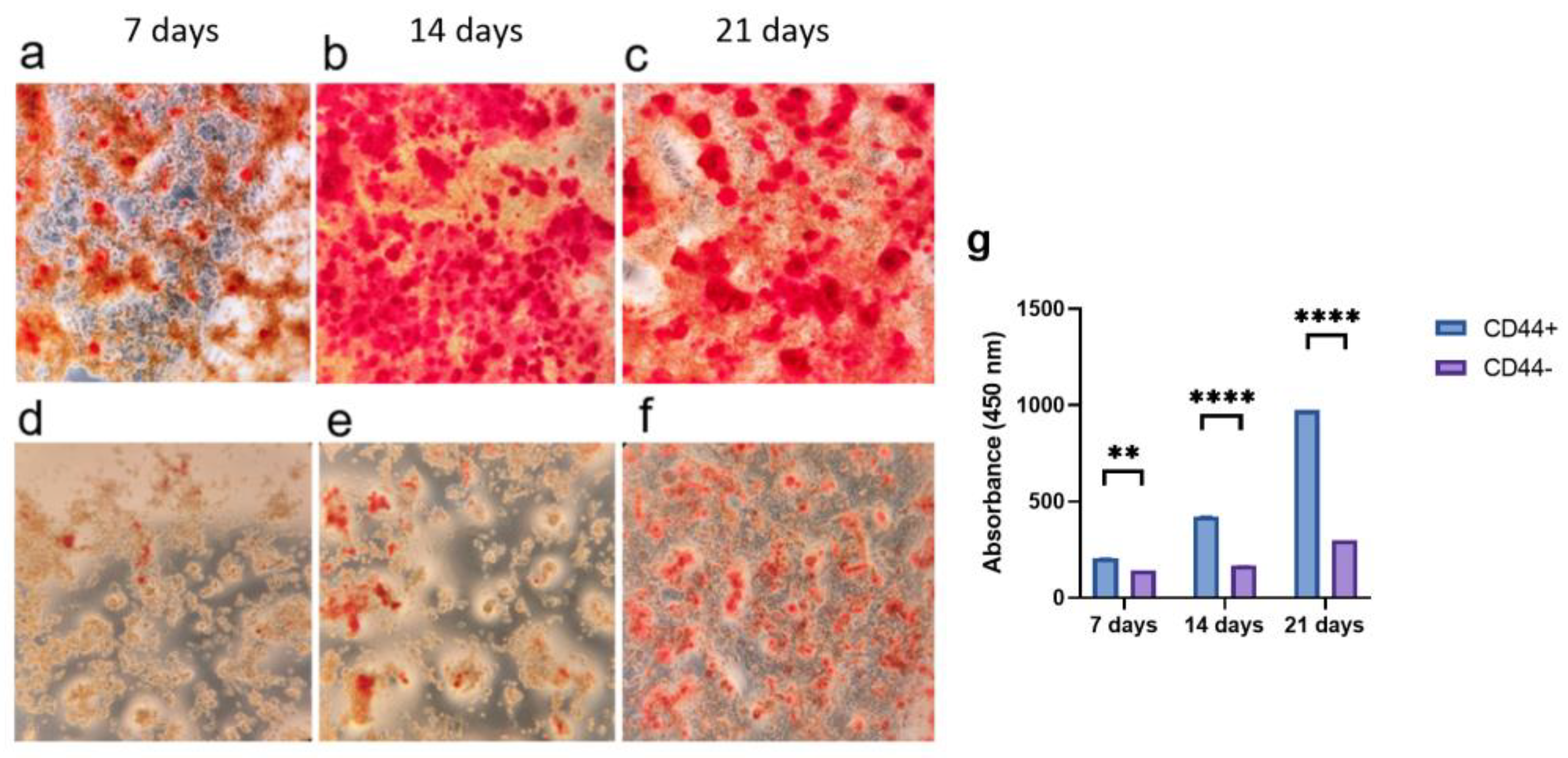 Ijms 24 04704 g003 Ijms 24 04704 g003