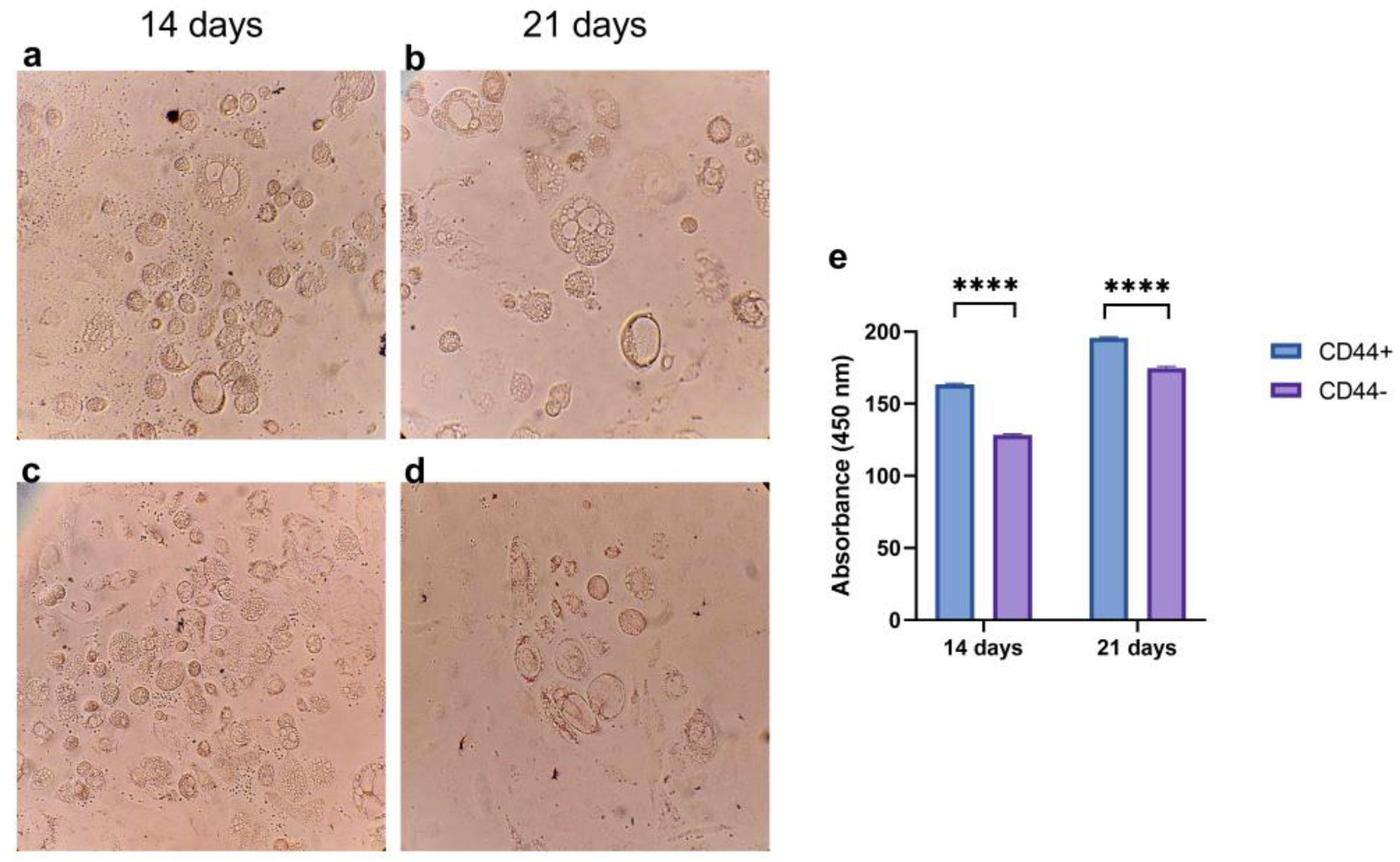 Ijms 24 04704 g006 Ijms 24 04704 g006