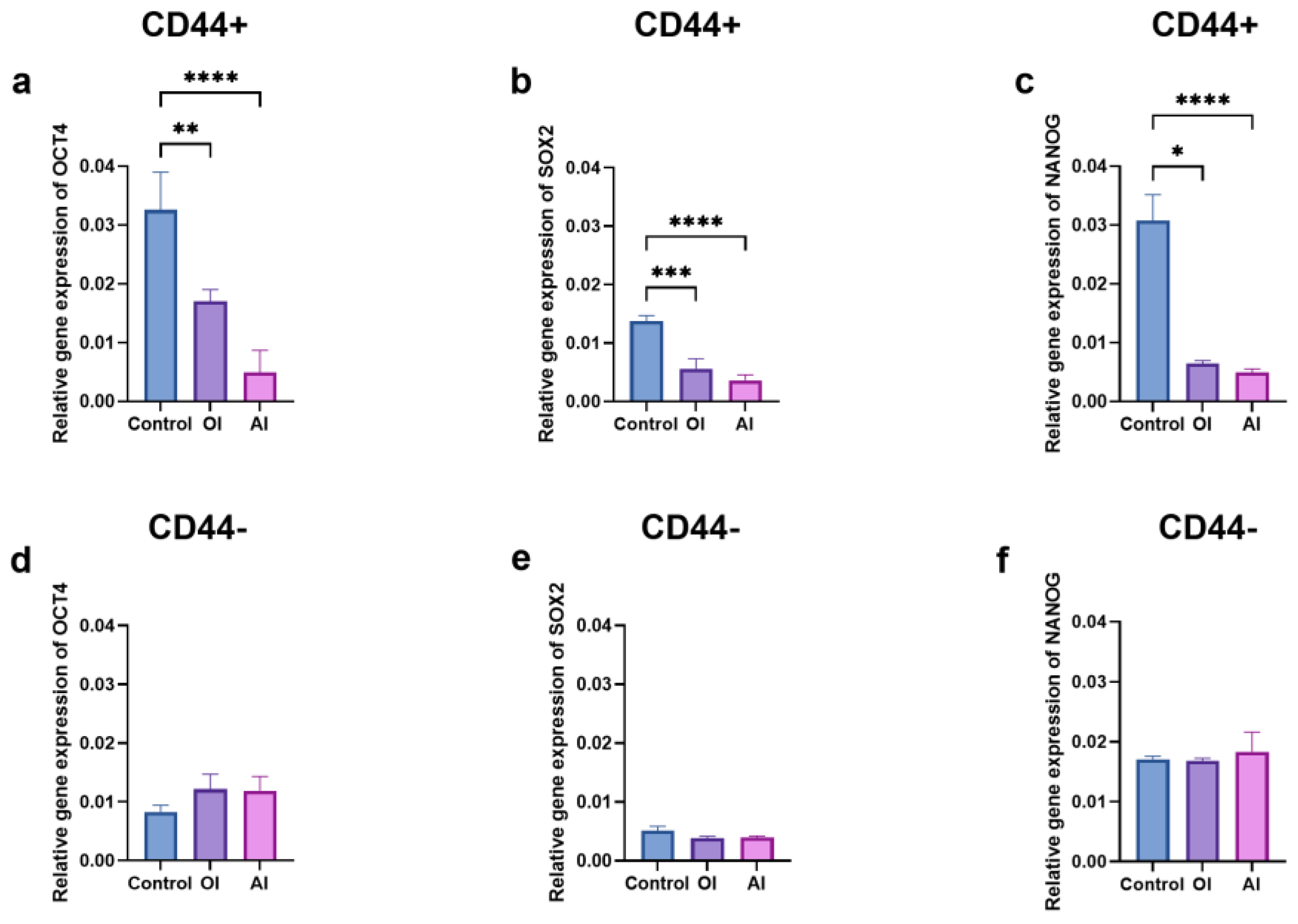 Ijms 24 04704 g010 Ijms 24 04704 g010