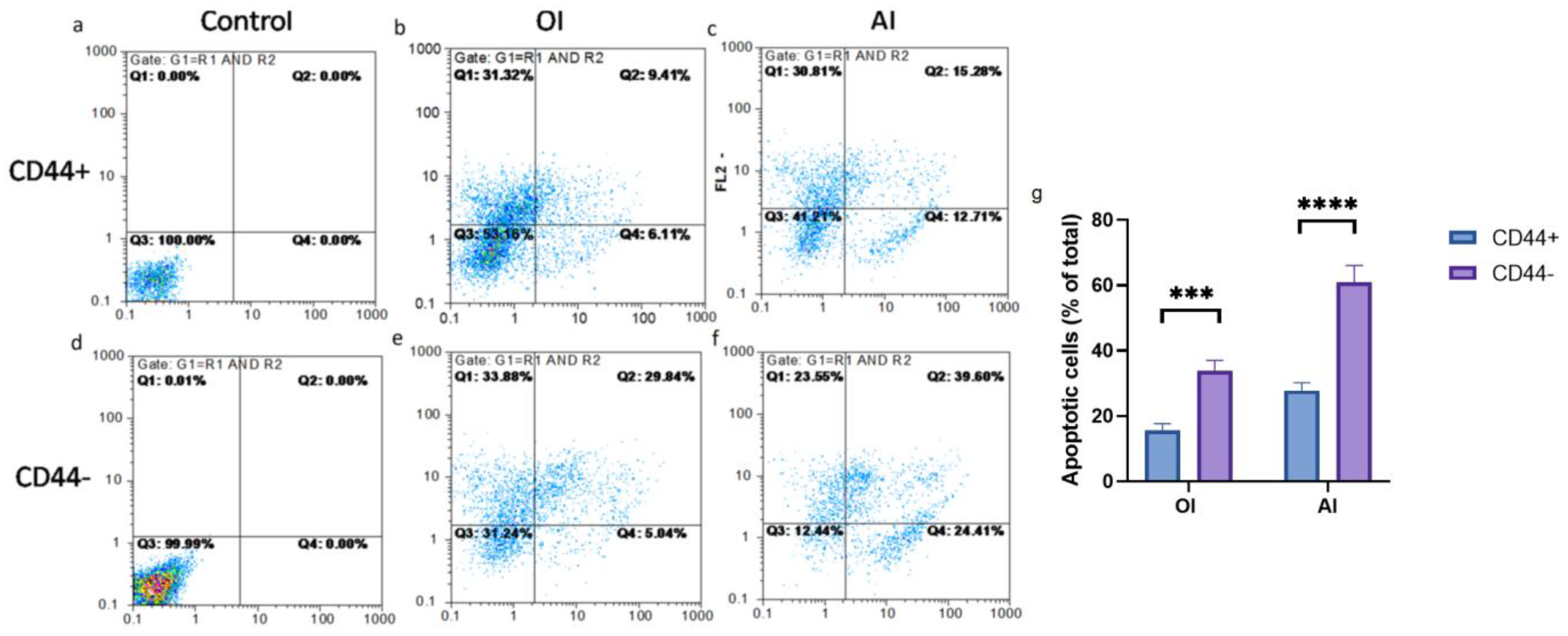 Ijms 24 04704 g012 Ijms 24 04704 g012
