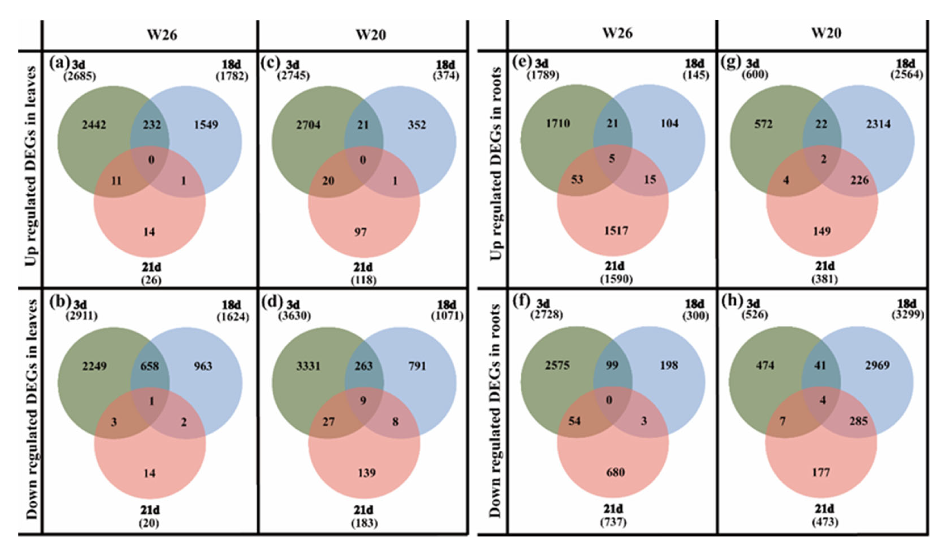 Ijms 24 04706 g004 Ijms 24 04706 g004