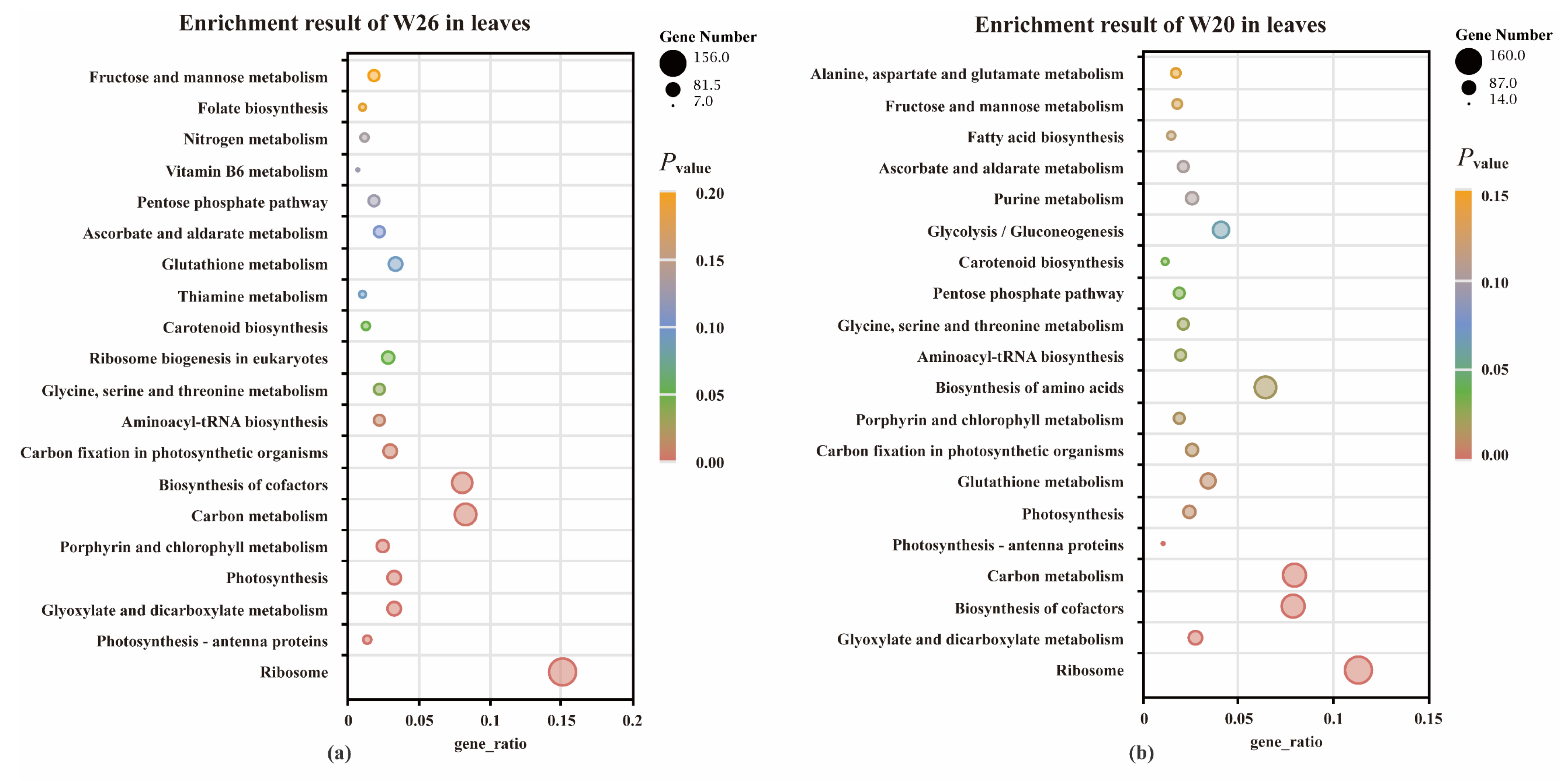 Ijms 24 04706 g005a Ijms 24 04706 g005a