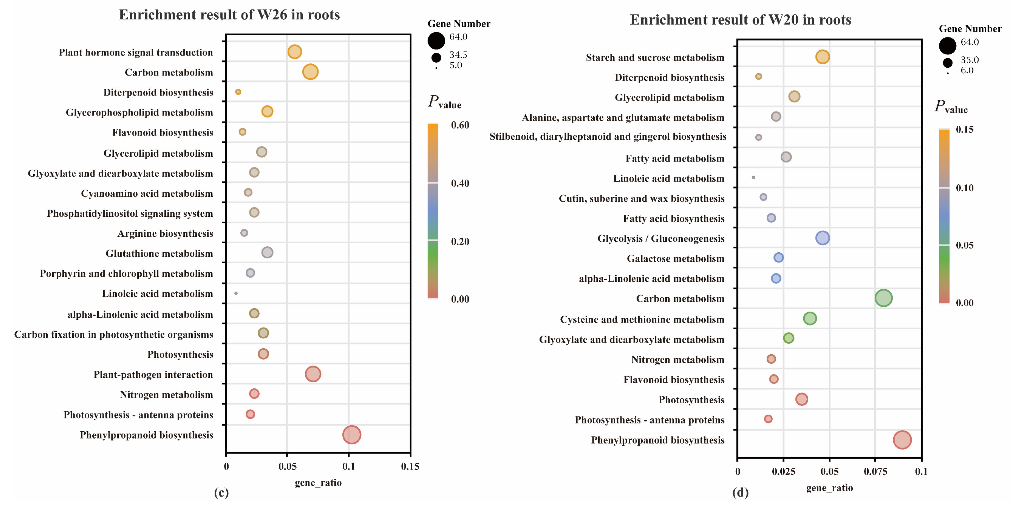 Ijms 24 04706 g005b Ijms 24 04706 g005b