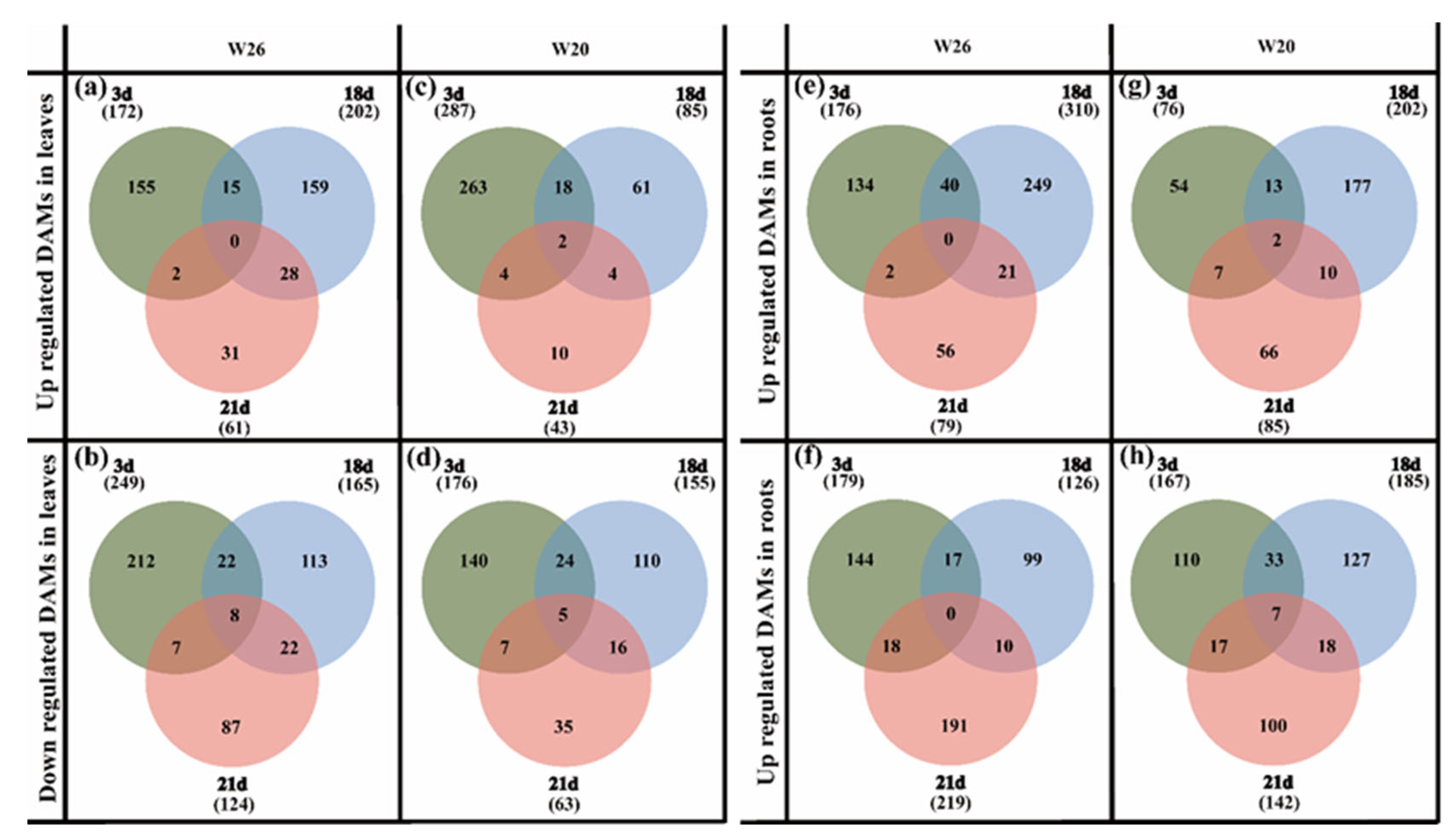 Ijms 24 04706 g006 Ijms 24 04706 g006