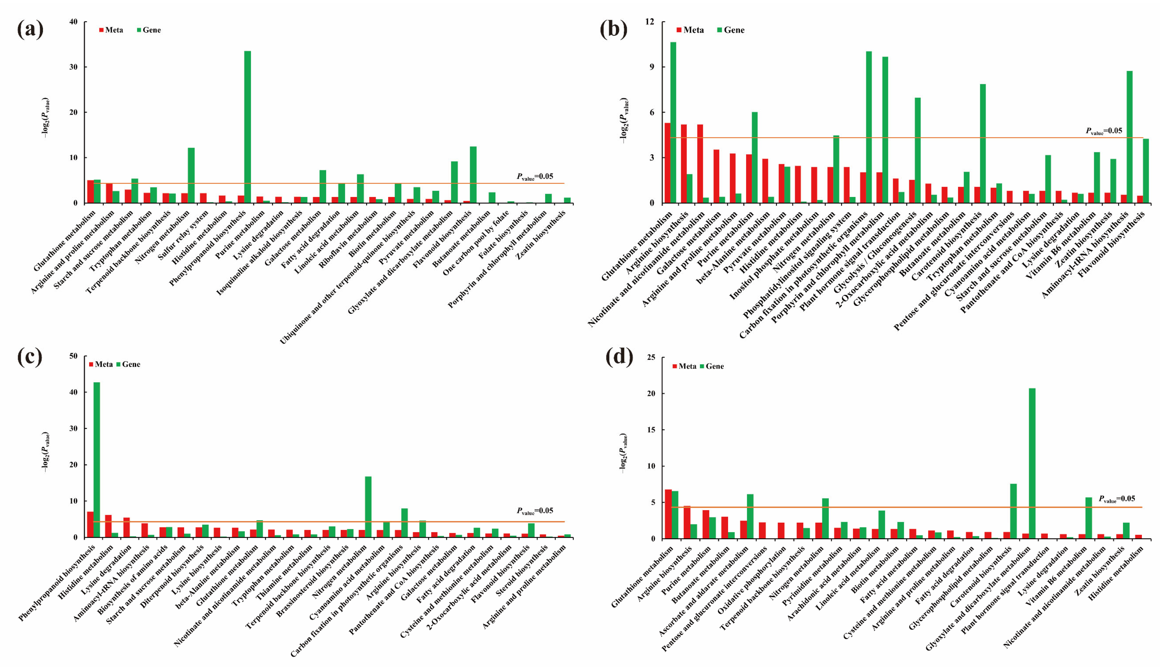 Ijms 24 04706 g008 Ijms 24 04706 g008