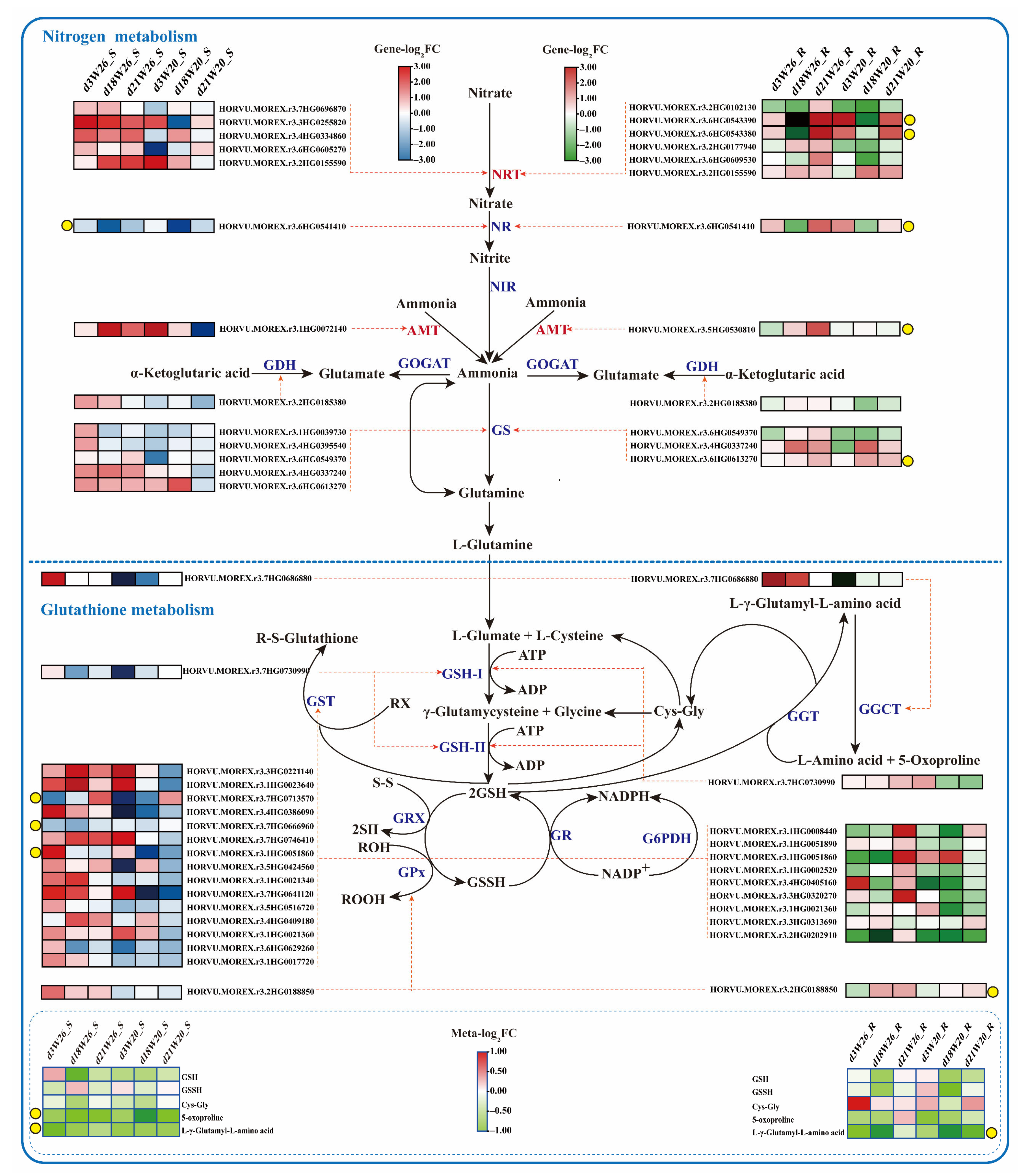 Ijms 24 04706 g009 Ijms 24 04706 g009