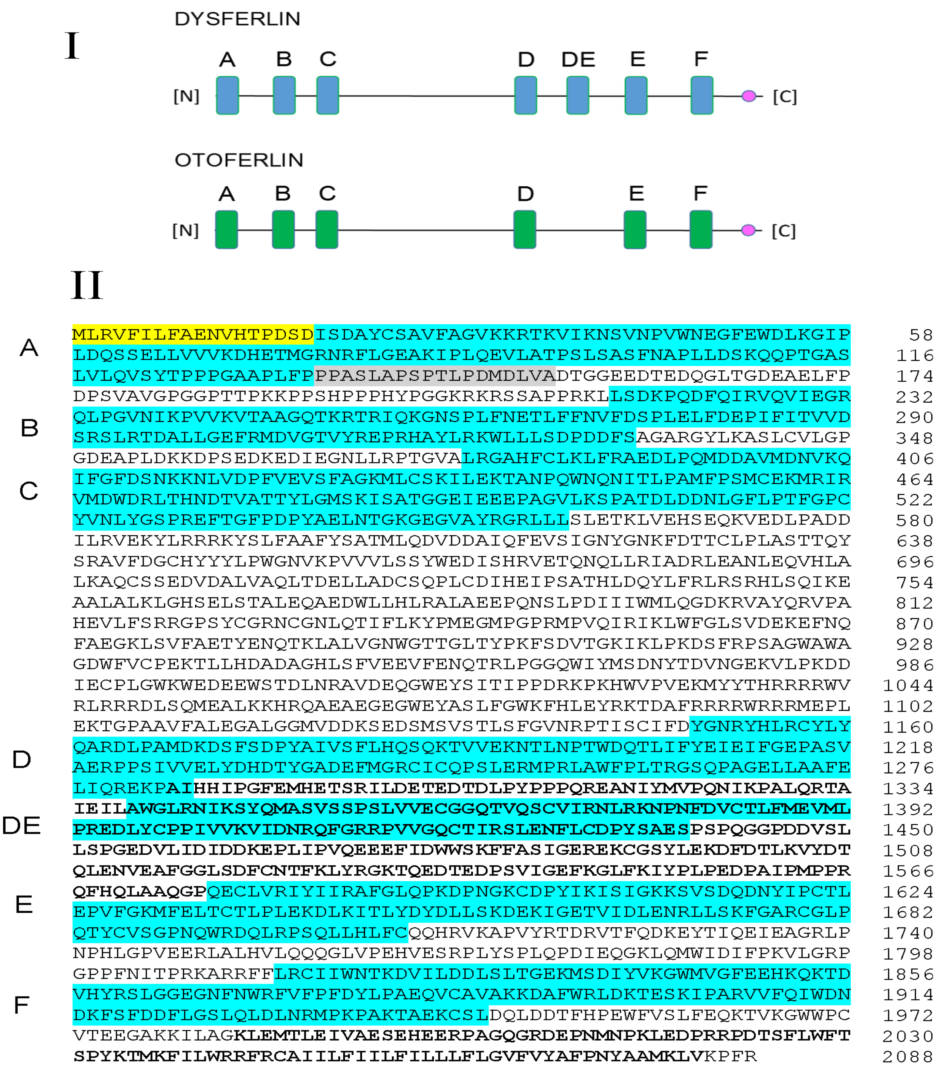 Ijms 24 04707 g001 Ijms 24 04707 g001