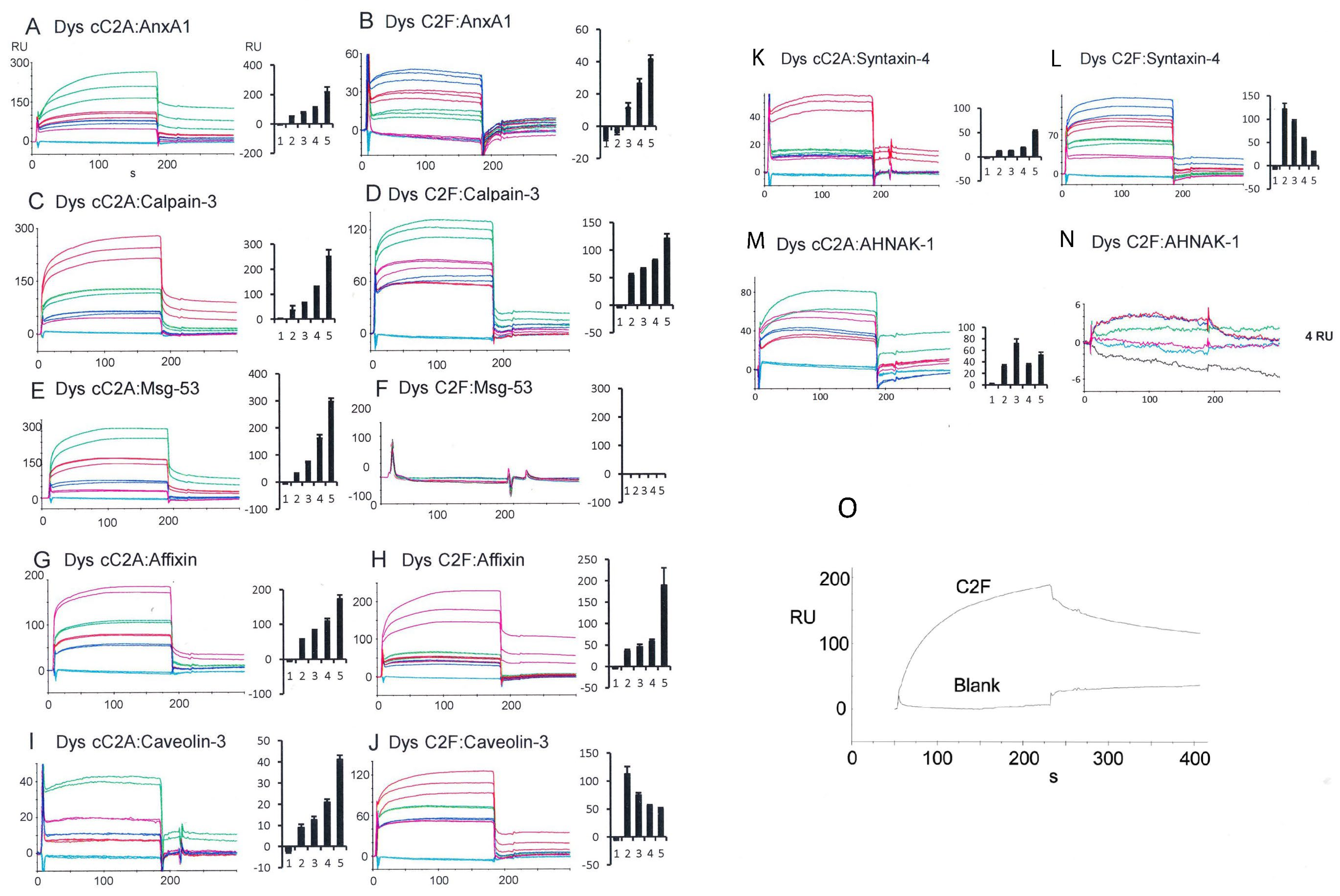 Ijms 24 04707 g002 Ijms 24 04707 g002
