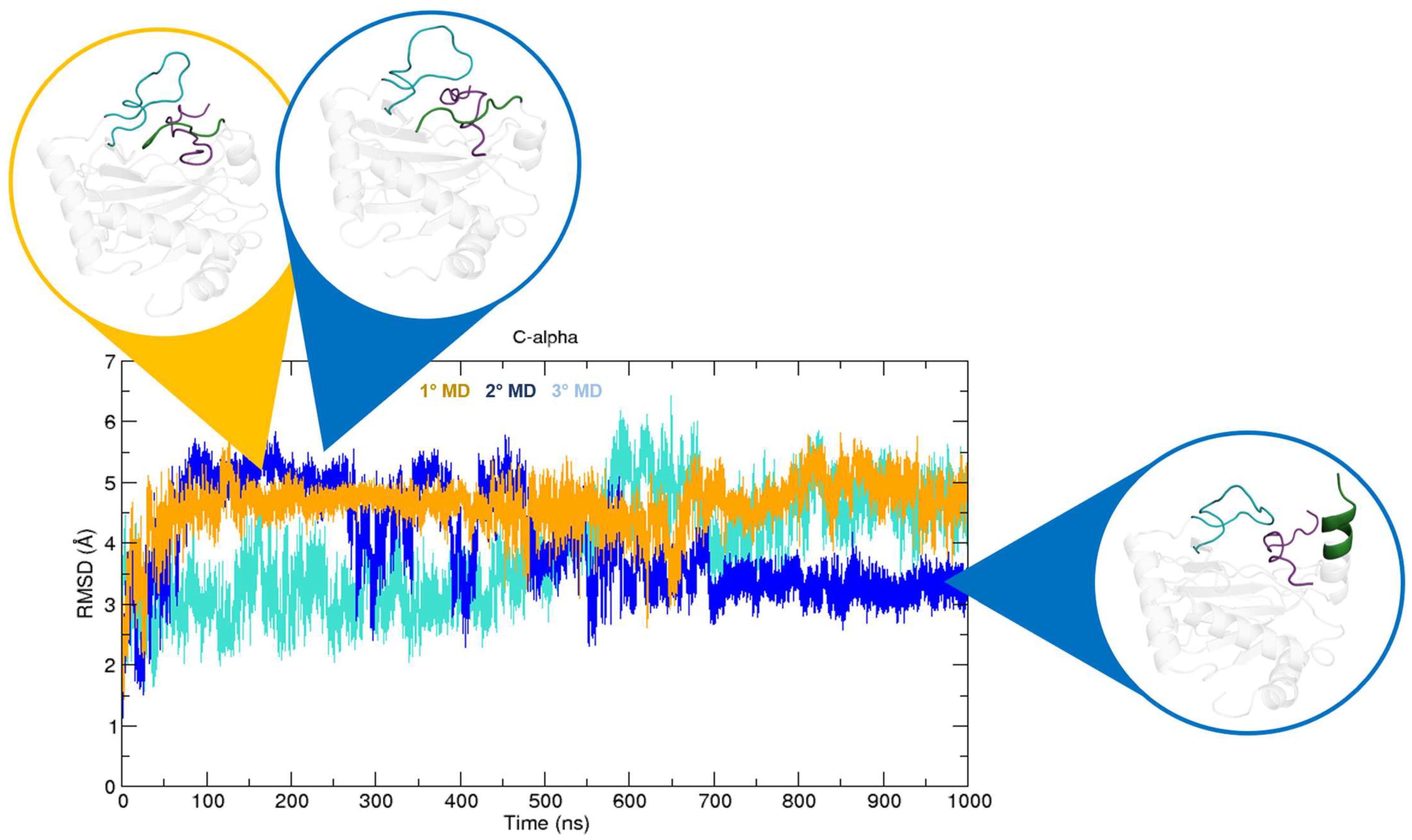 Ijms 24 04710 g004 Ijms 24 04710 g004