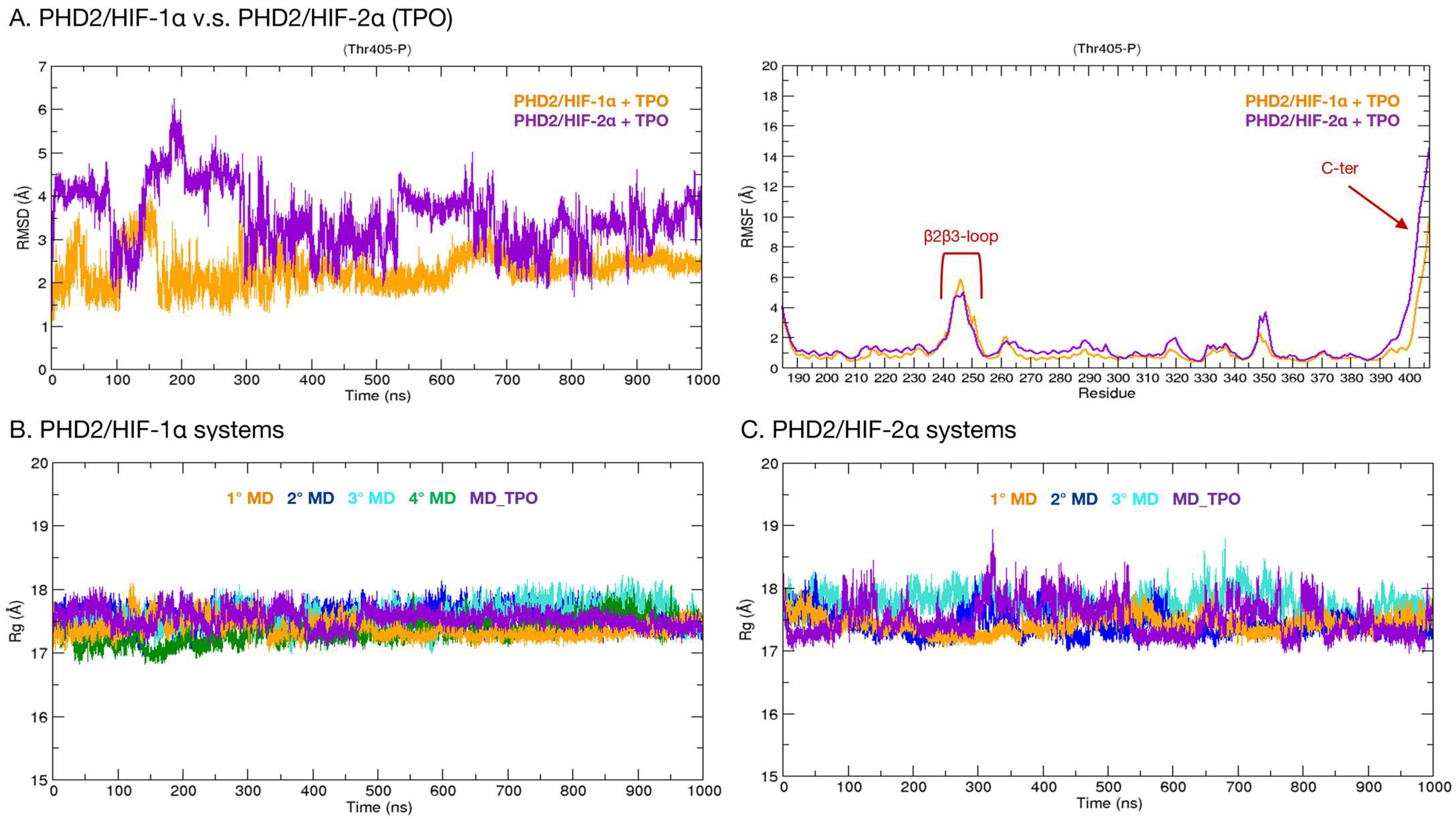 Ijms 24 04710 g005 Ijms 24 04710 g005
