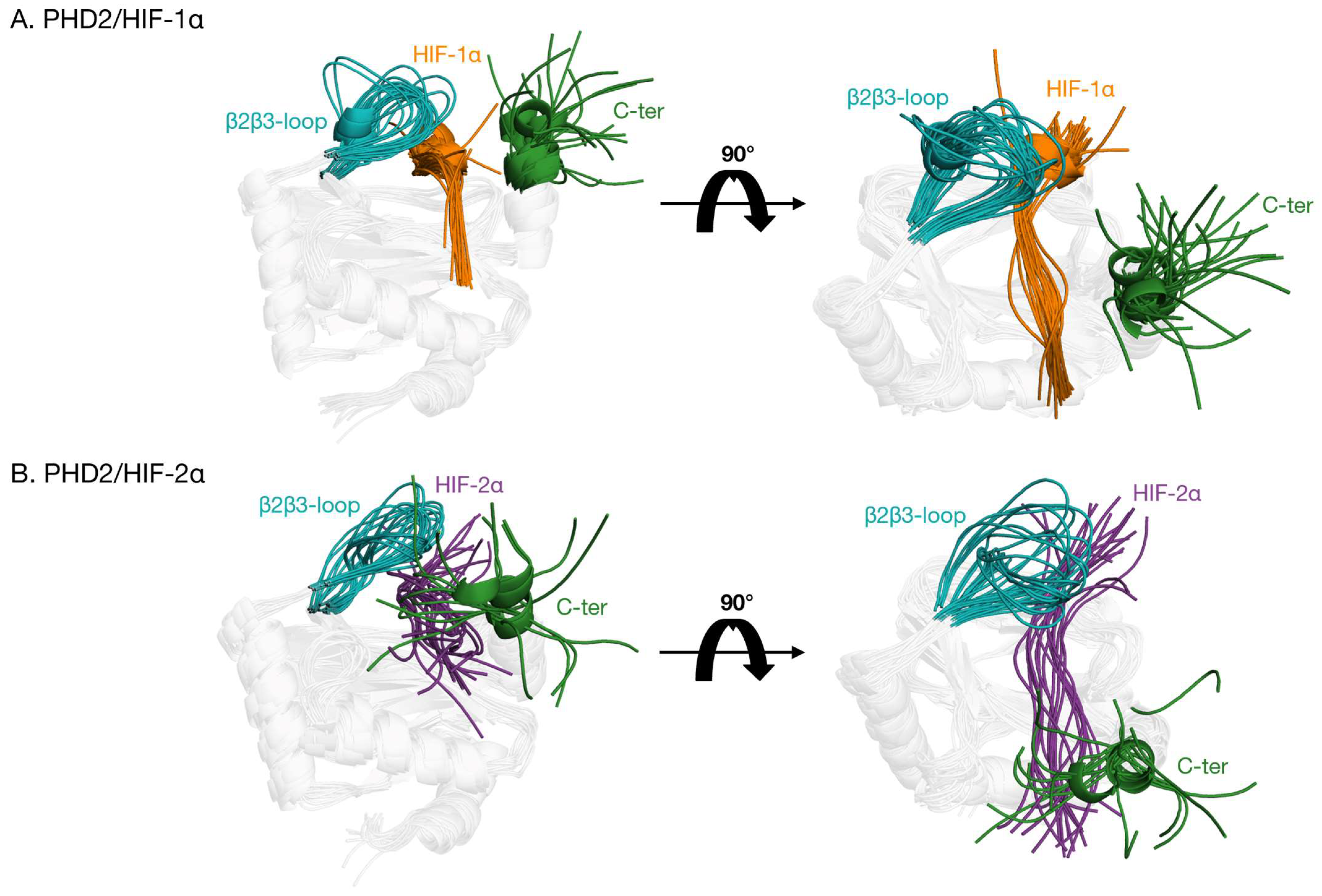 Ijms 24 04710 g007 Ijms 24 04710 g007