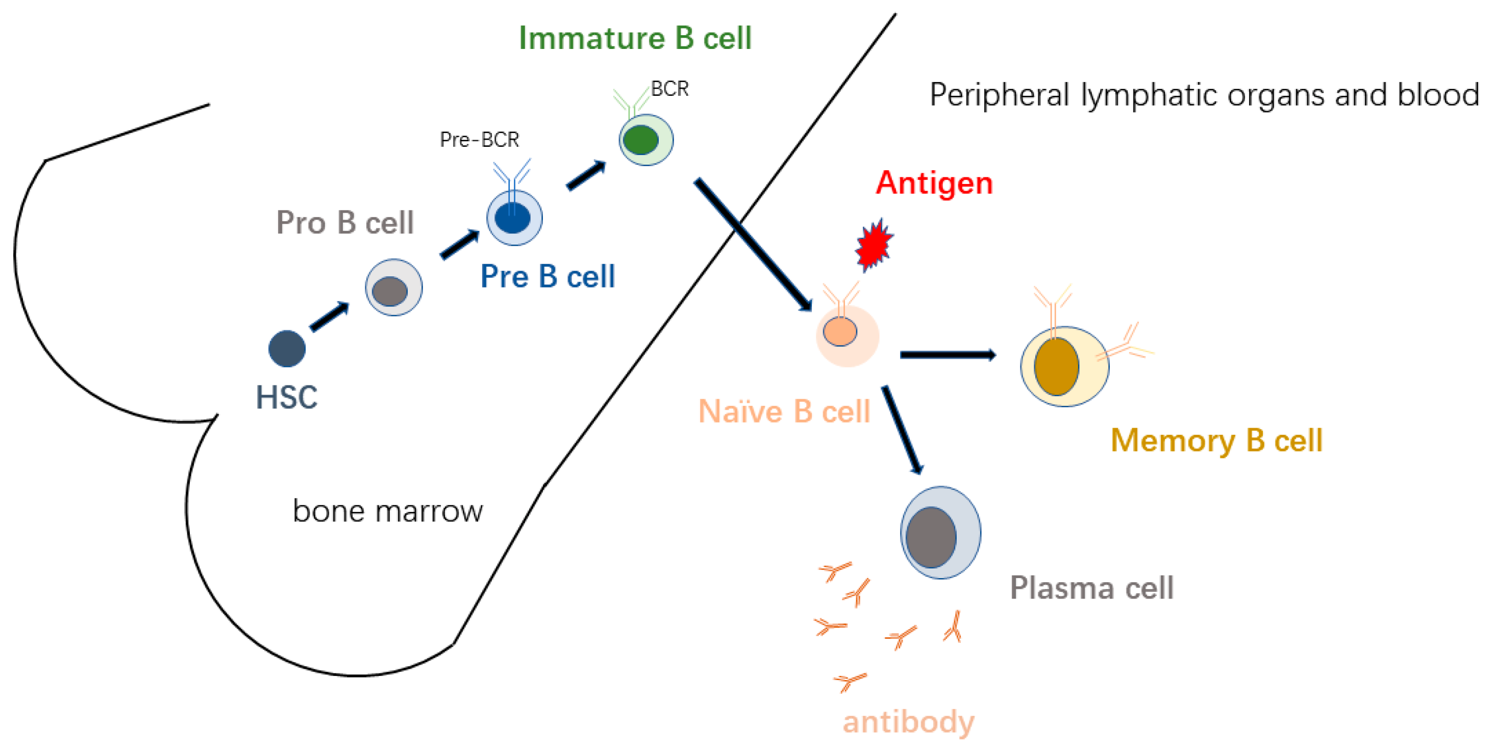 Ijms 24 04721 g001 Ijms 24 04721 g001