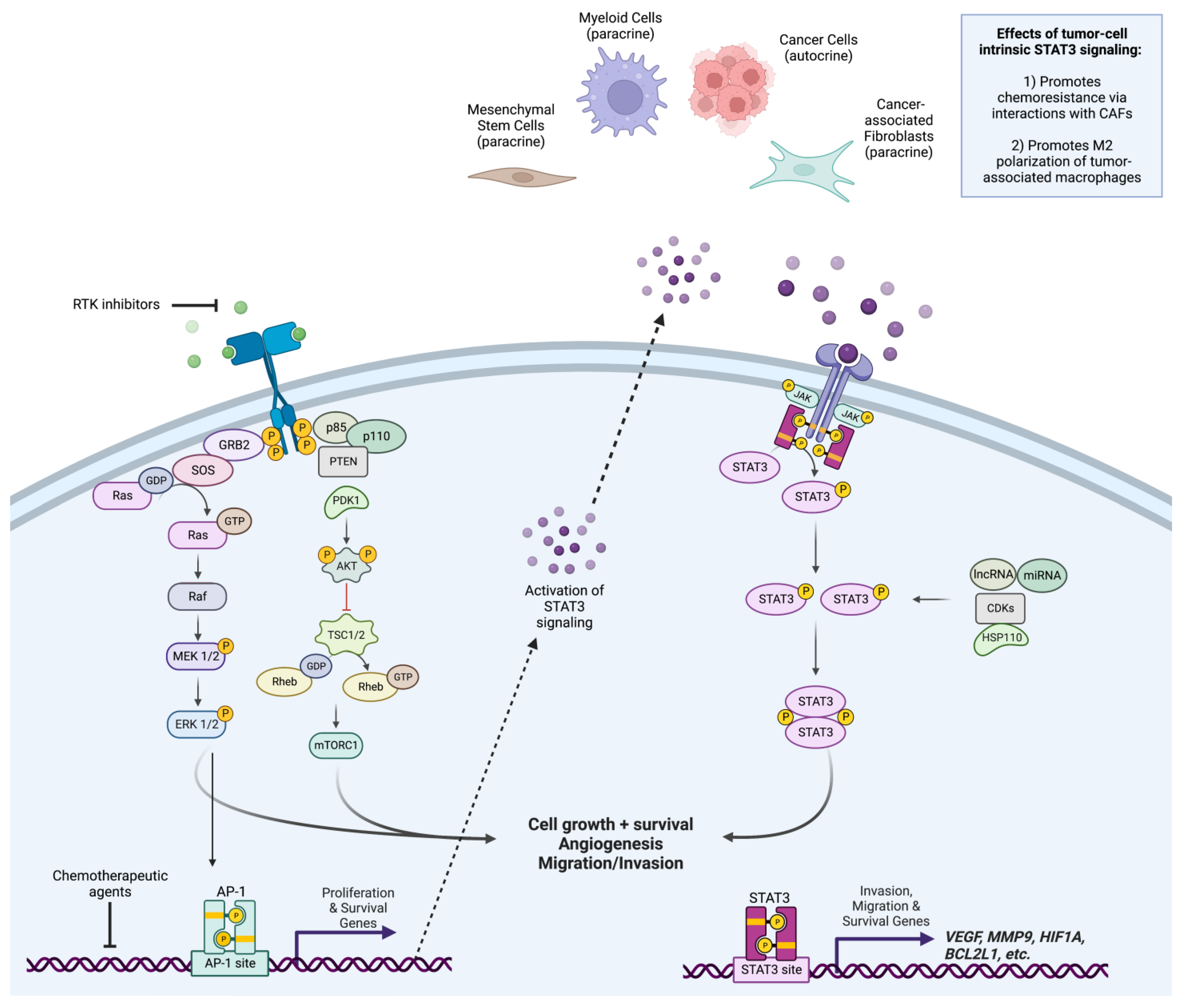 Ijms 24 04722 g001 Ijms 24 04722 g001