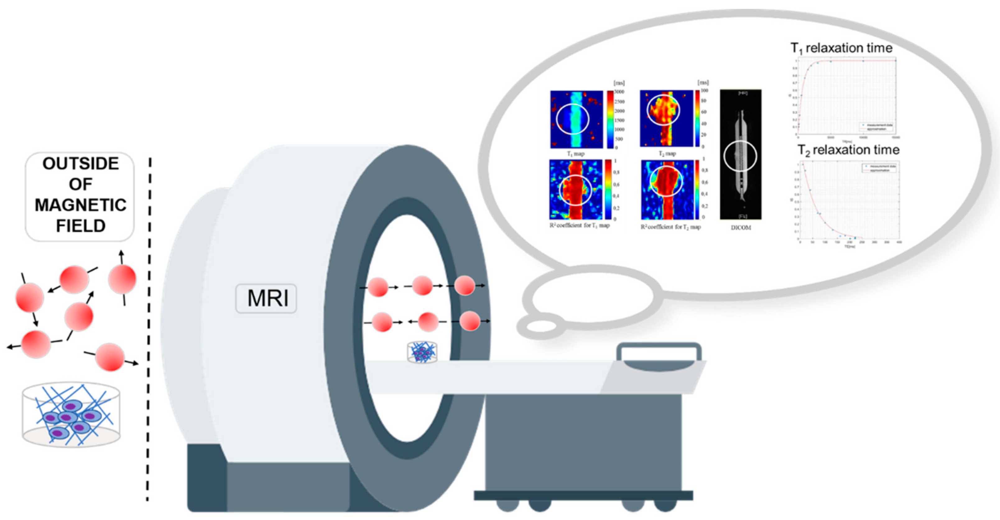 Ijms 24 04735 g001 Ijms 24 04735 g001