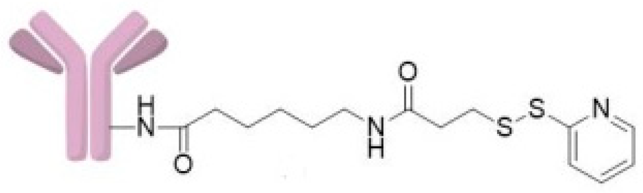 Ijms 24 04735 g006 Ijms 24 04735 g006